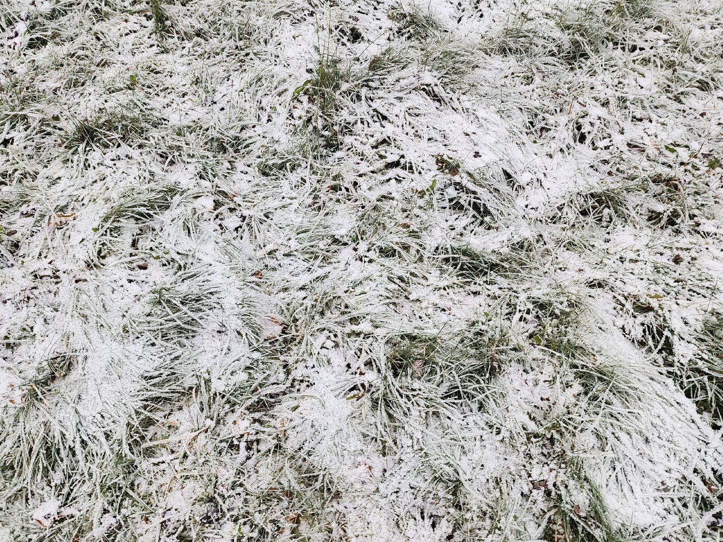 погода, снегопад,