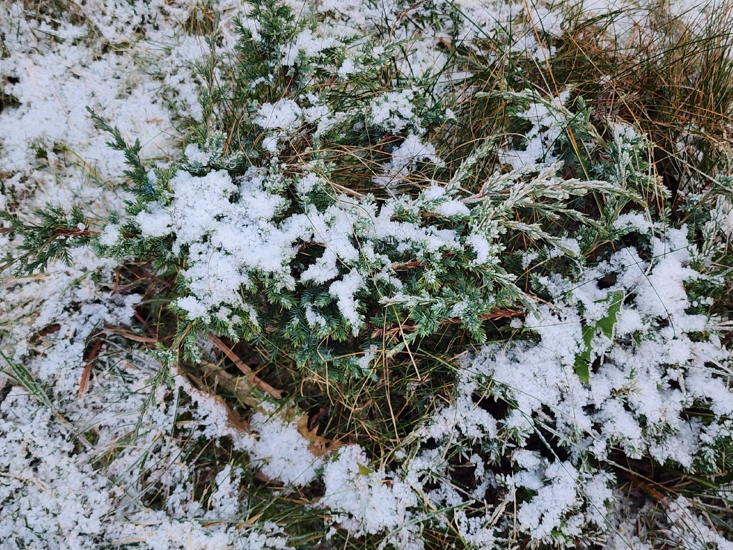 погода, снегопад,