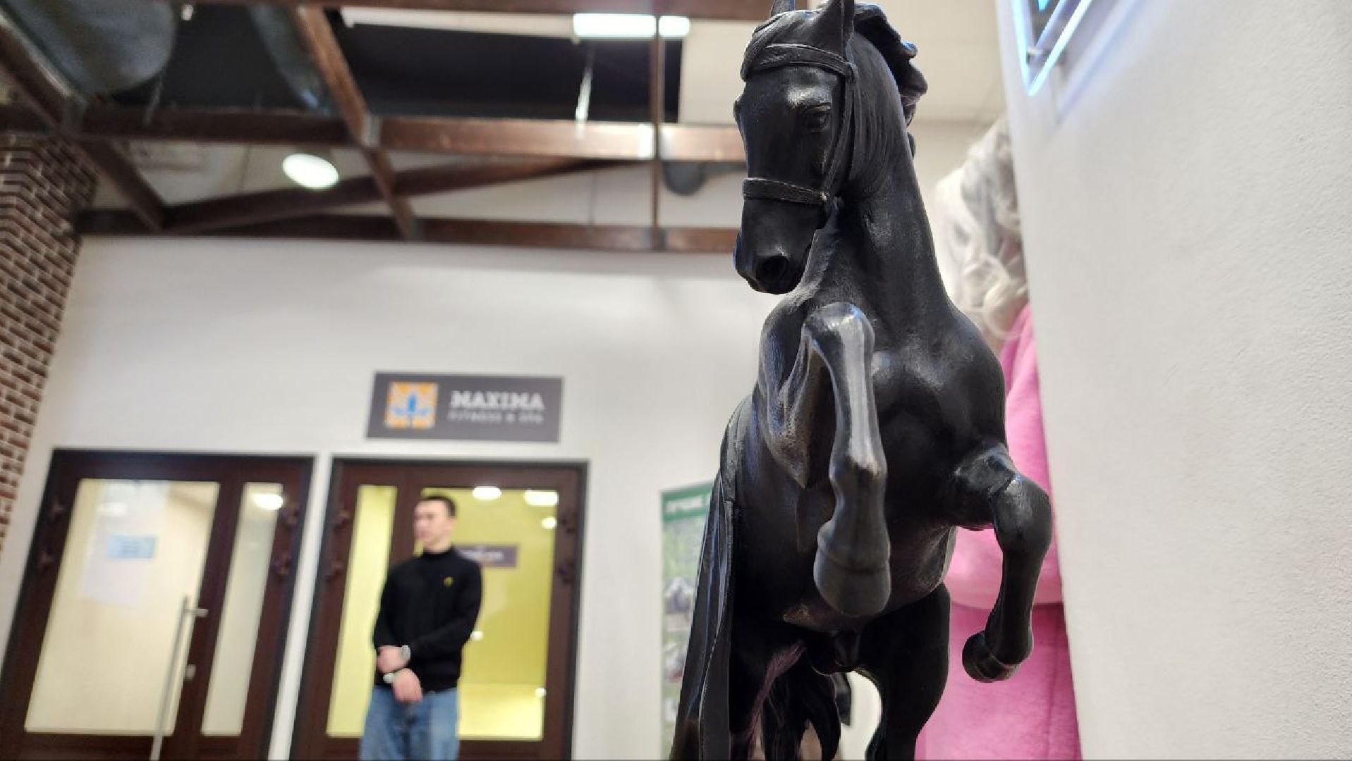 Дмитров, Максима парк, Кубок президента ОАЭ,