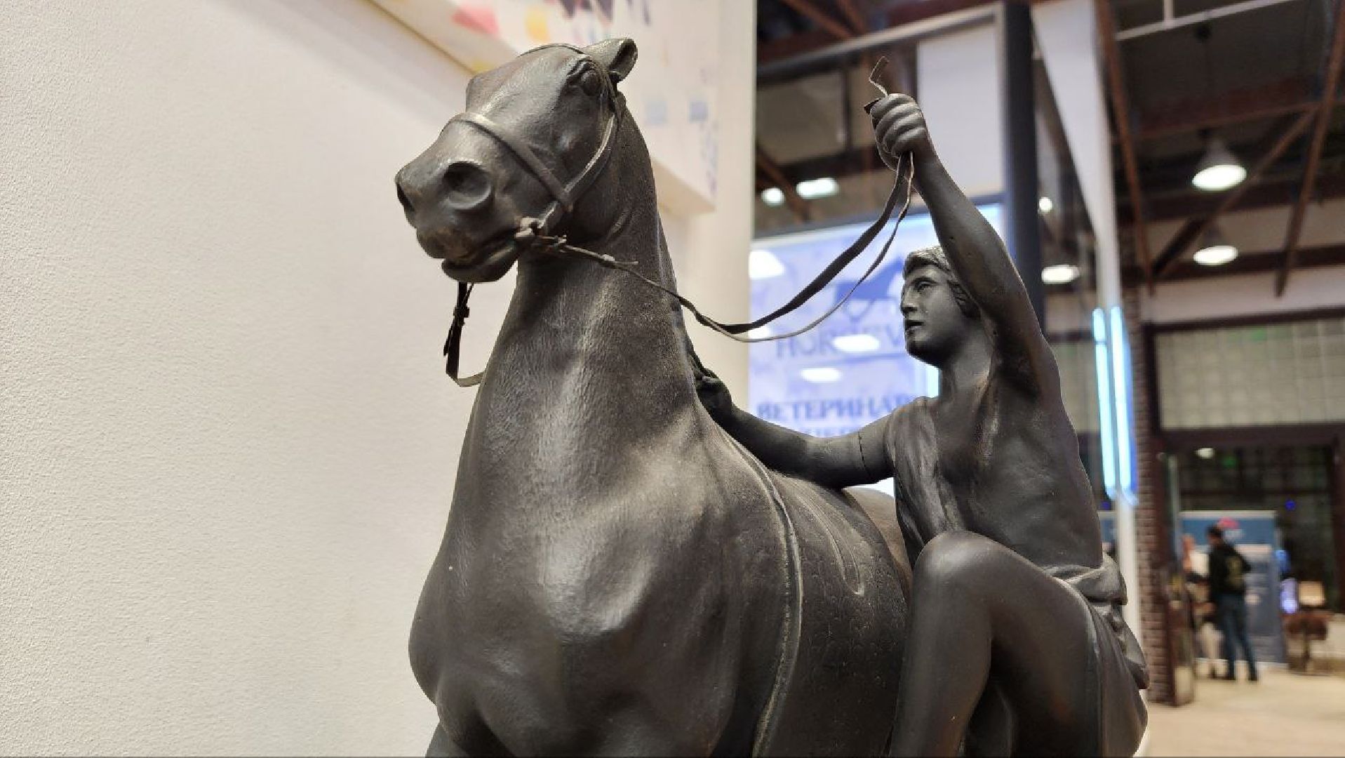 Дмитров, Максима парк, Кубок президента ОАЭ,