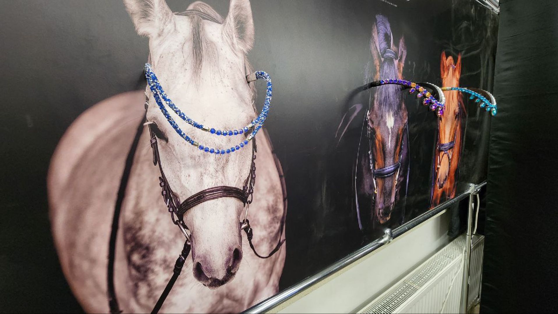 Дмитров, Максима парк, Кубок президента ОАЭ,