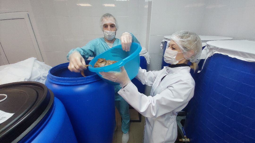 Воскресенск, бизнес