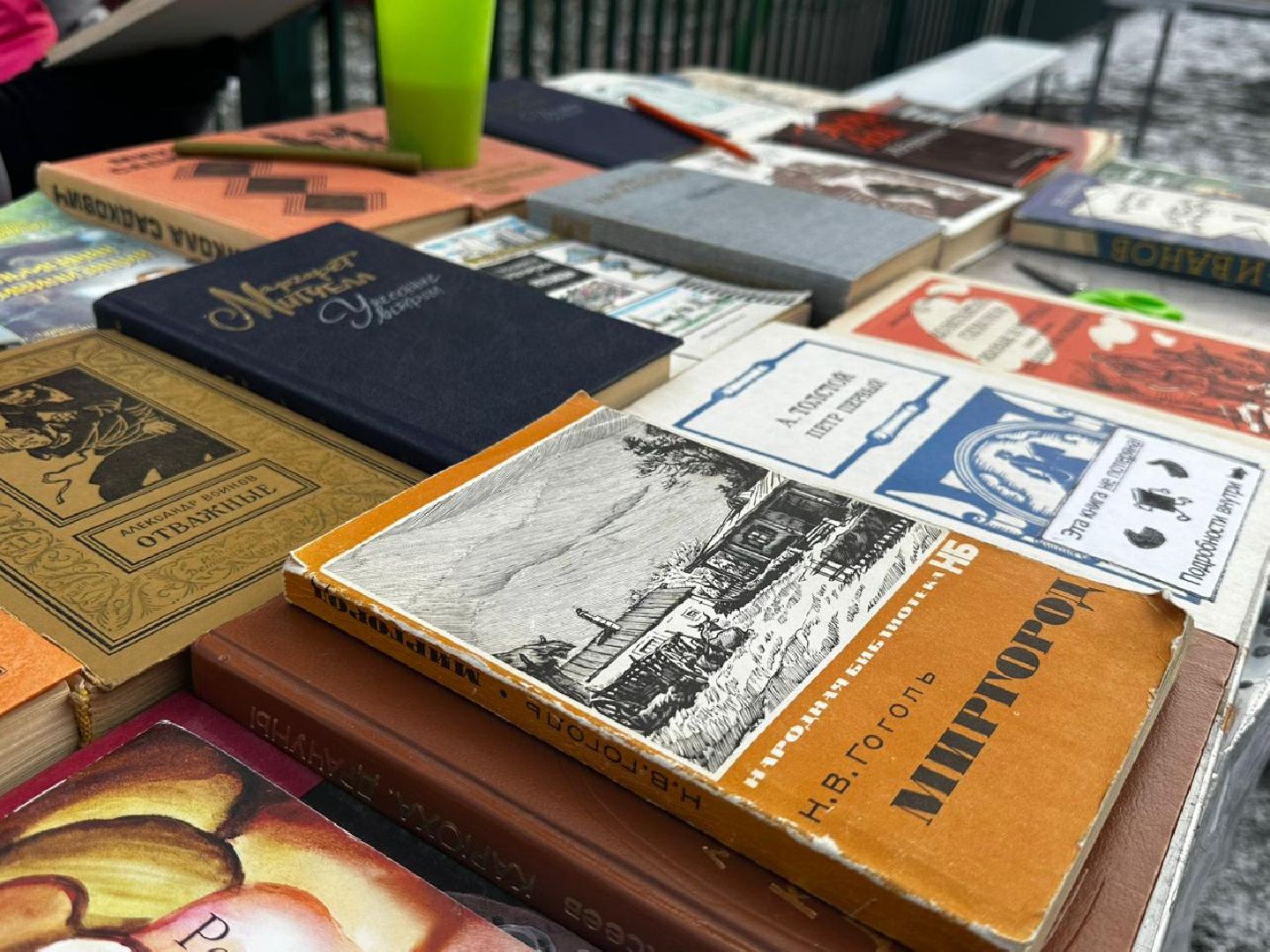 Солнечногорск, Экодвор, Акция, экологическая акция, переработка мусора,