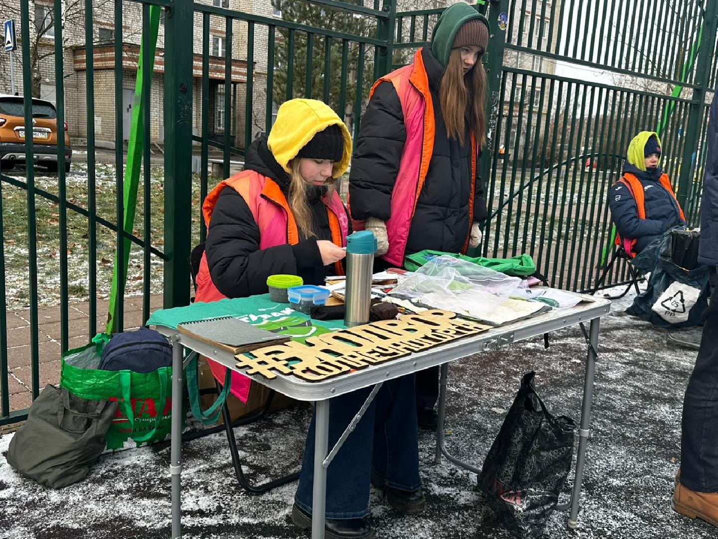 Солнечногорск, Экодвор, Акция, экологическая акция, переработка мусора,