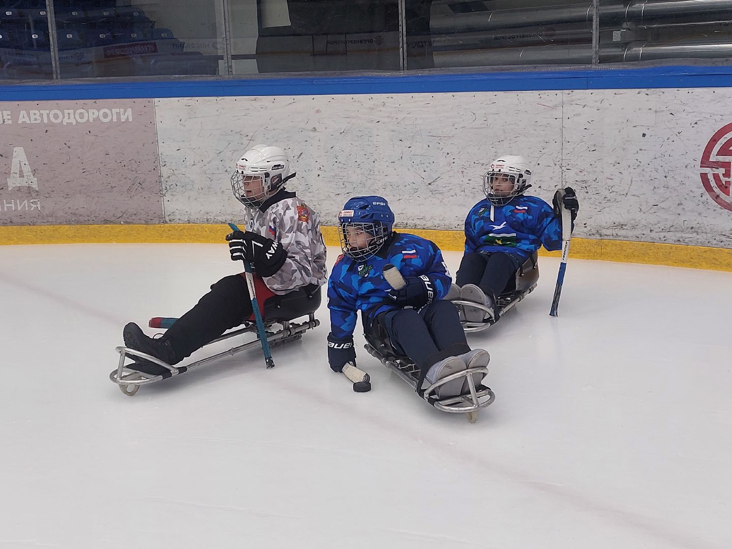 Следж-хоккей, спорт подмосковья, адаптивная физкультура, Федерации адаптивного хоккея, Хоккей,
