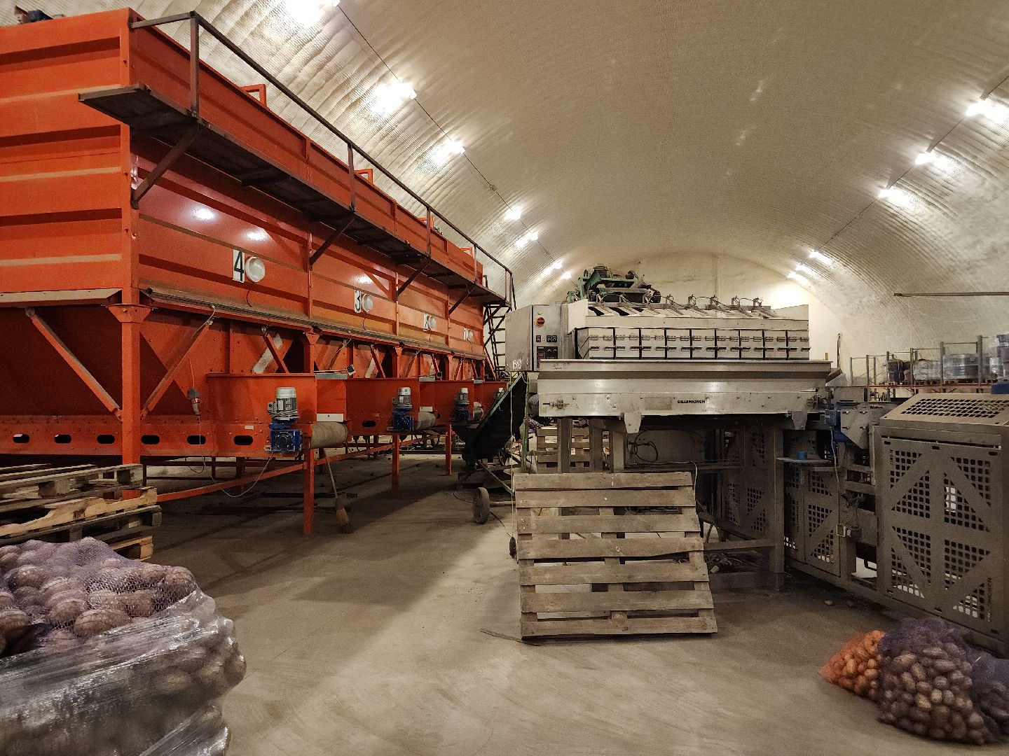 луховицы, сельское хозяйство, овощи,