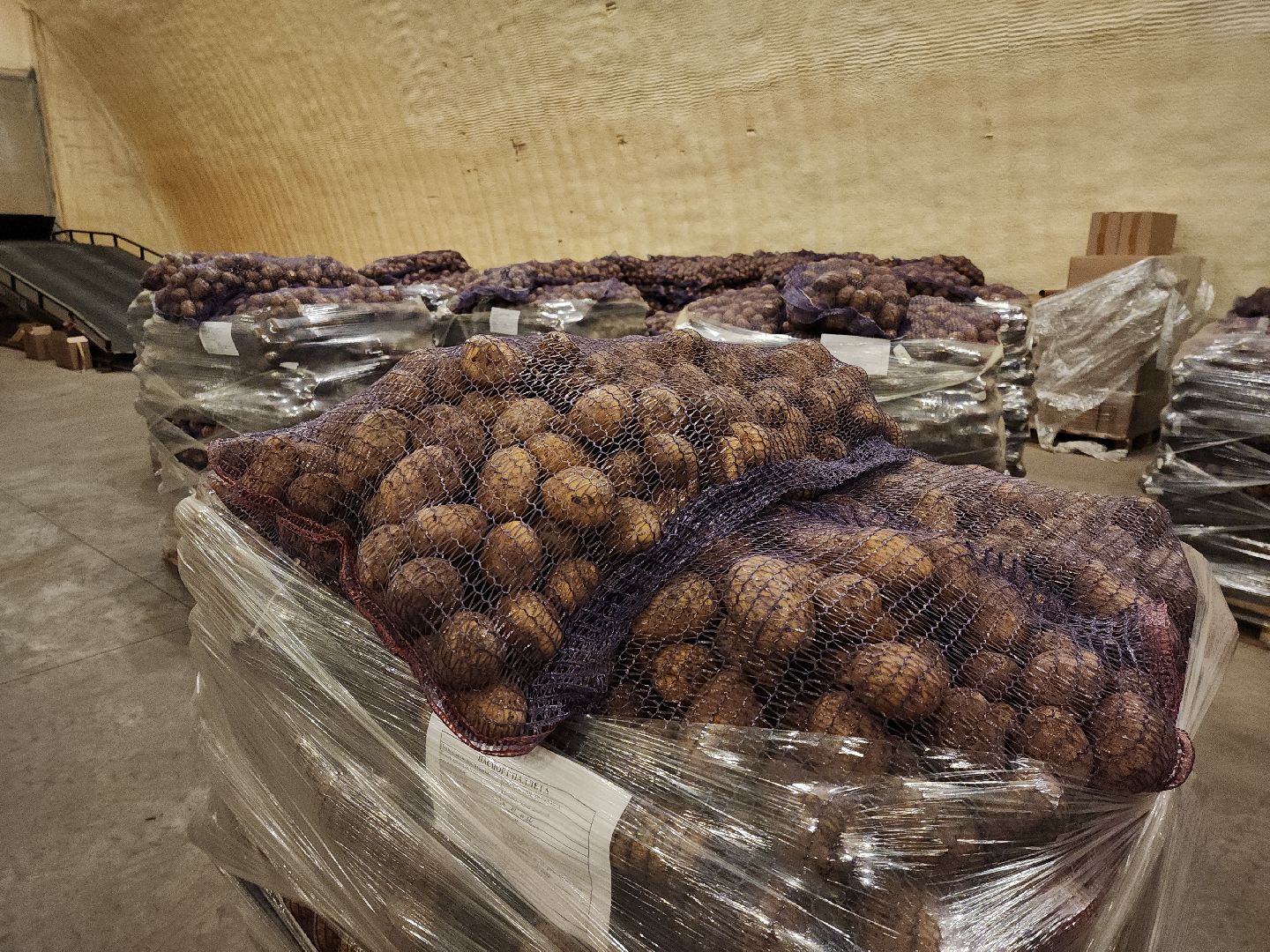 луховицы, сельское хозяйство, овощи,