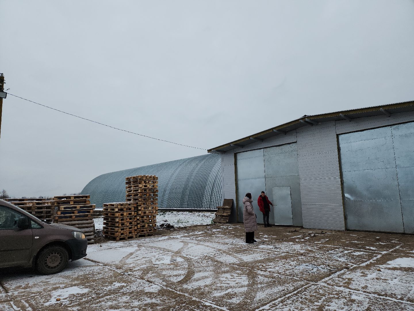 луховицы, сельское хозяйство, овощи,