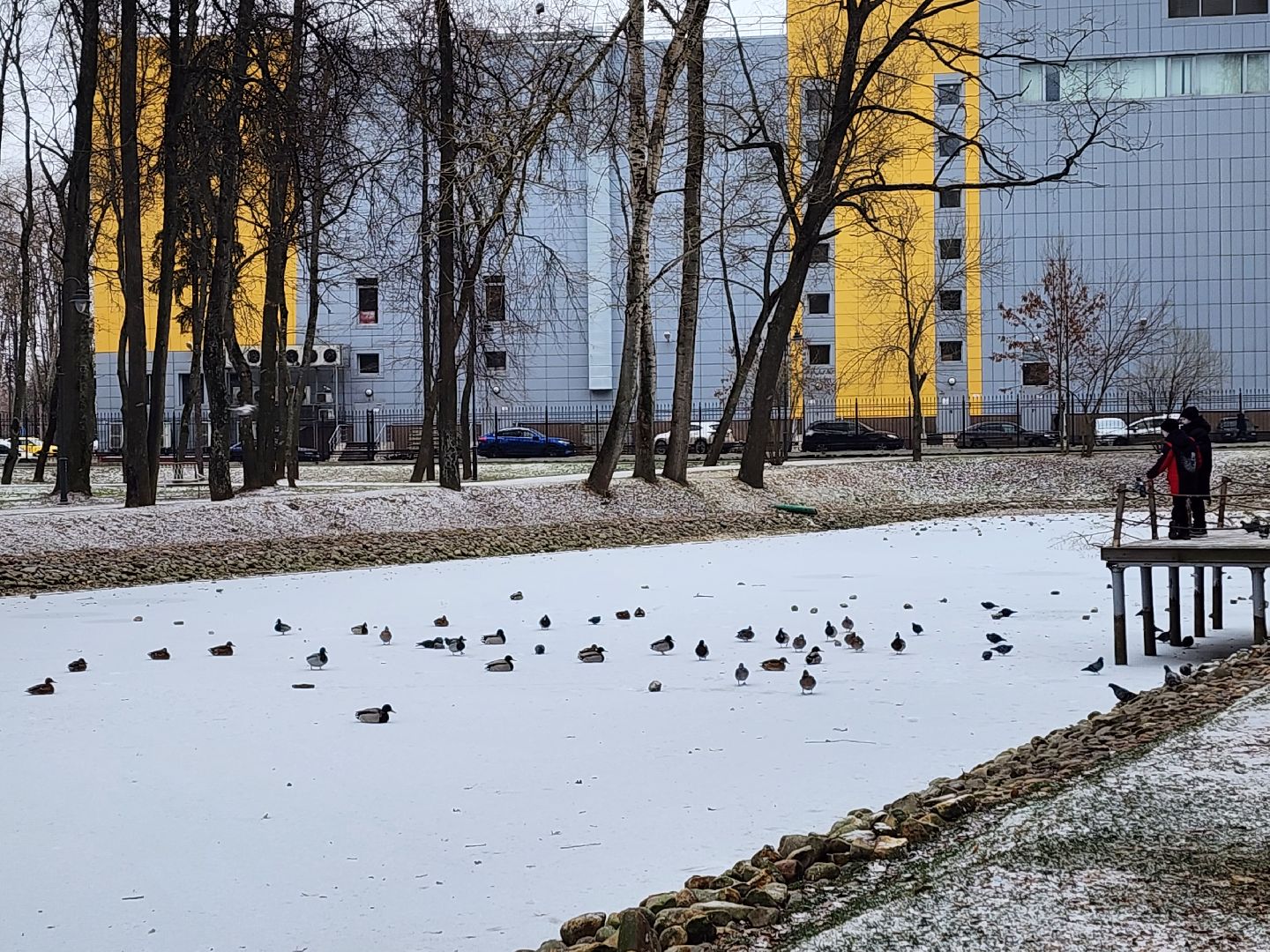 воскресенск, парк, подмосковье, туризм, путешествие,
