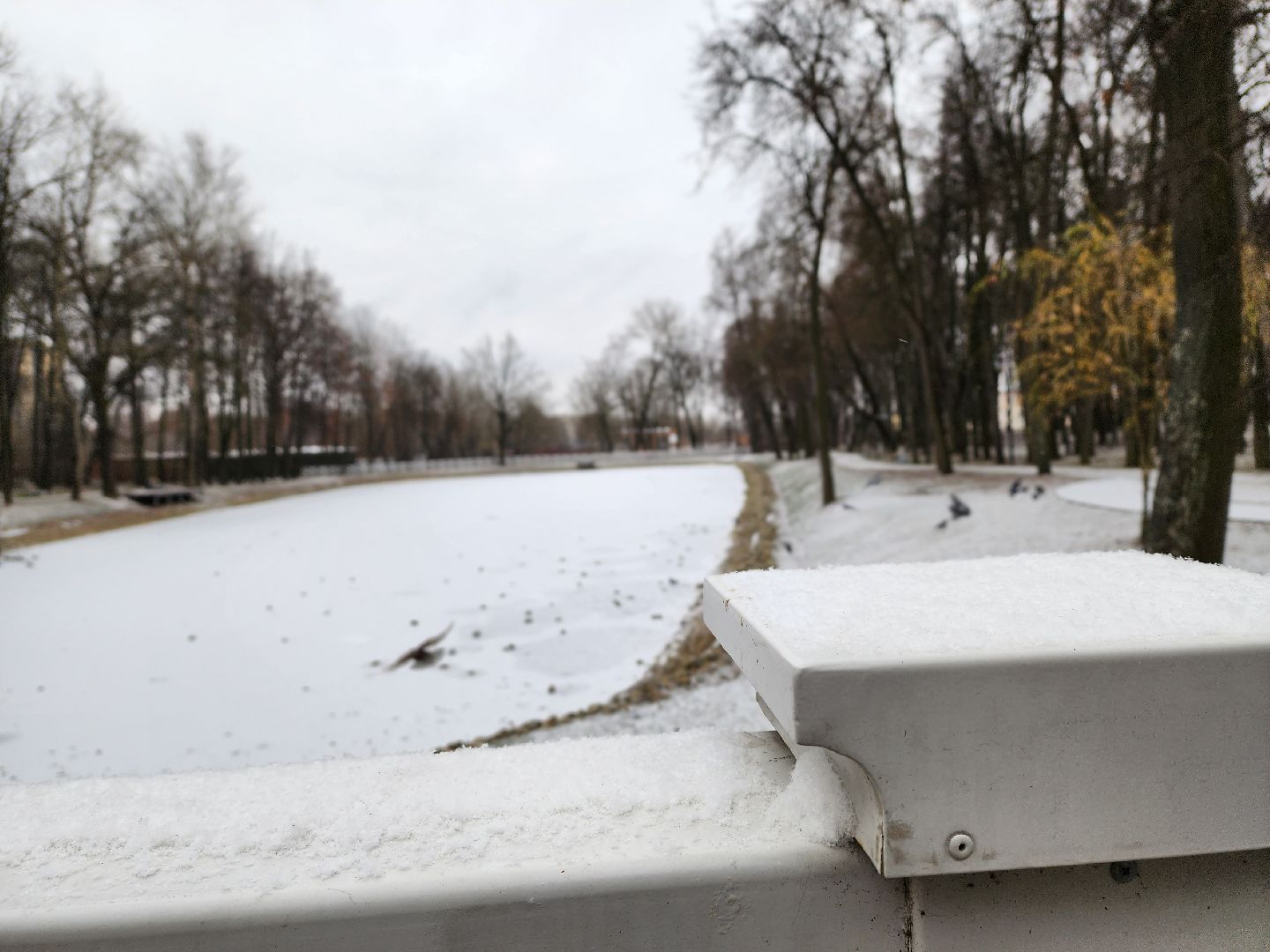 воскресенск, парк, подмосковье, туризм, путешествие,