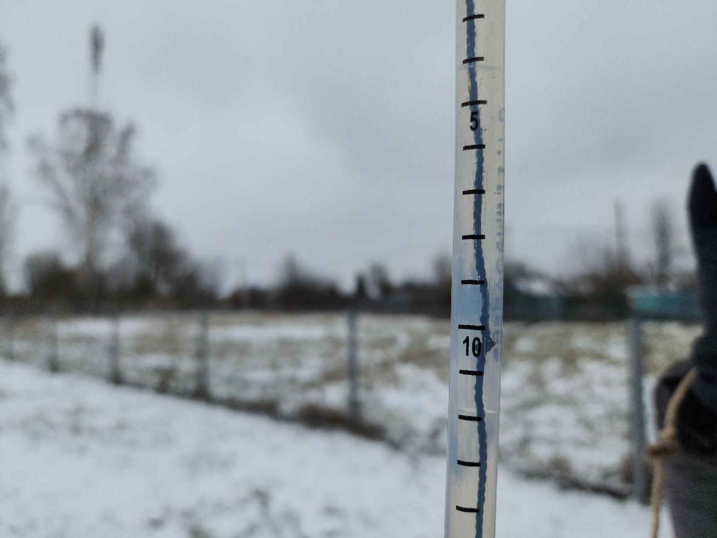 коломна, общество, погода, рекорды,