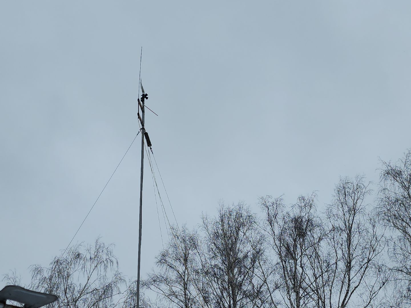 коломна, общество, погода, рекорды,