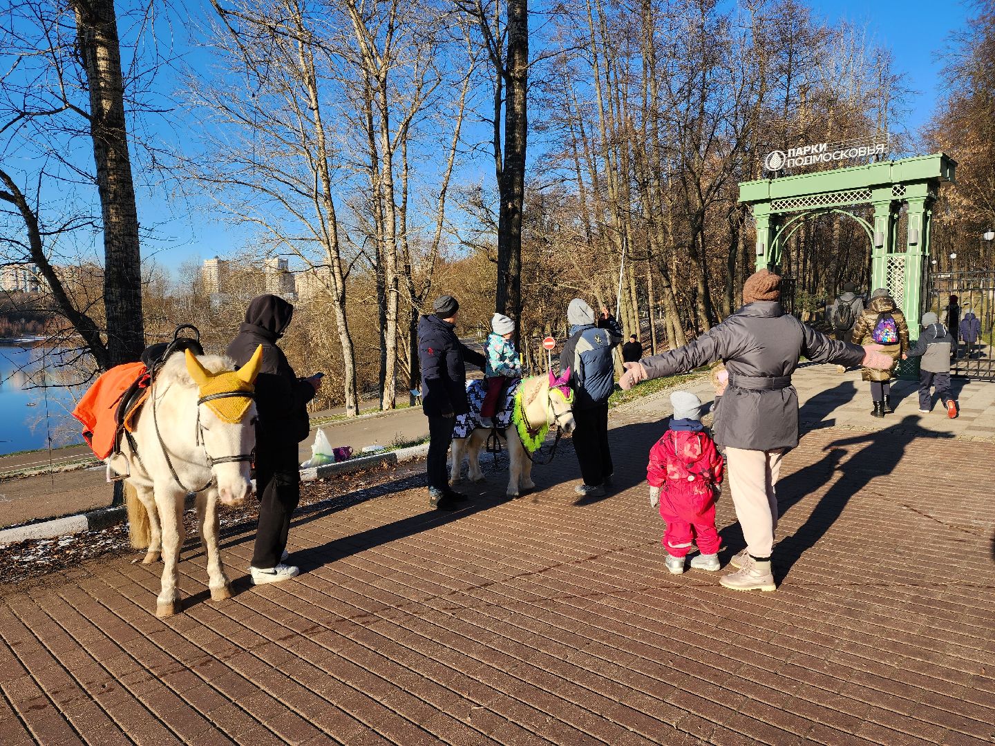 раменское, благоустройство, новогодняя ель в Раменском городском парке,