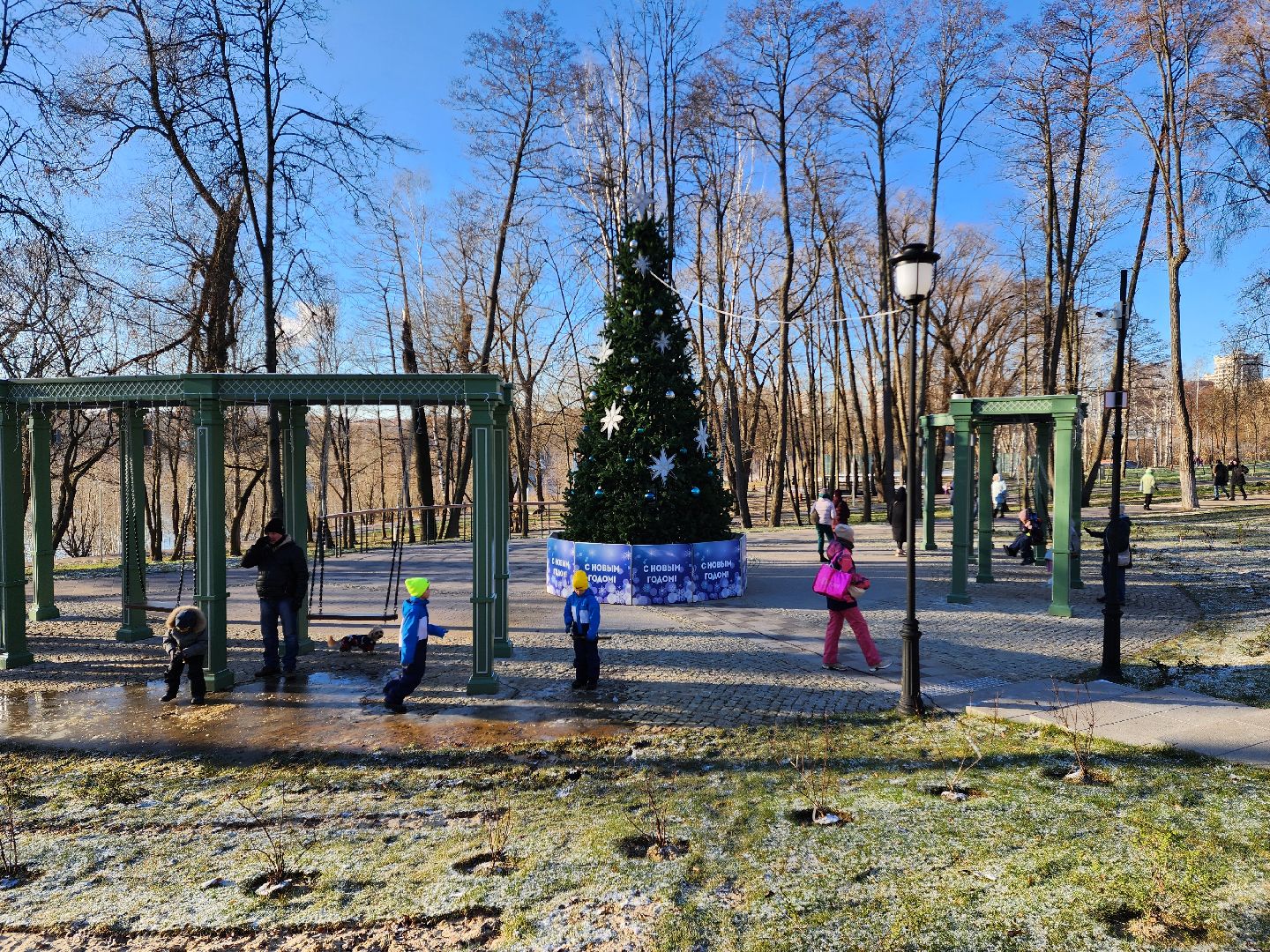 раменское, благоустройство, новогодняя ель в Раменском городском парке,