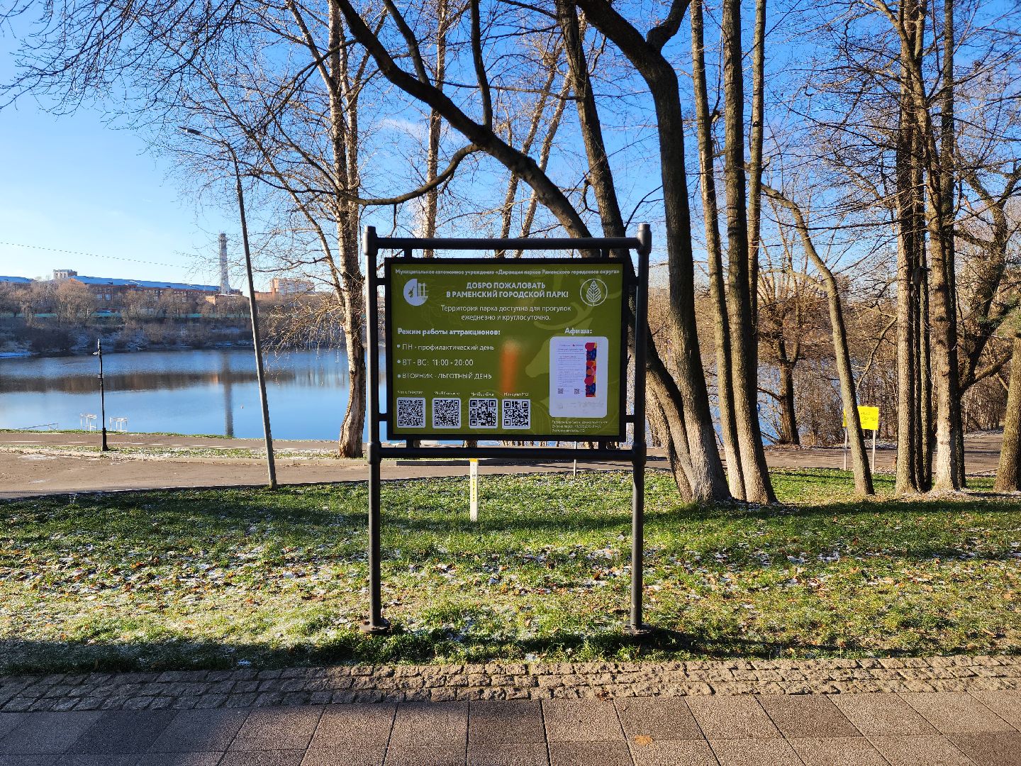 раменское, благоустройство, новогодняя ель в Раменском городском парке,