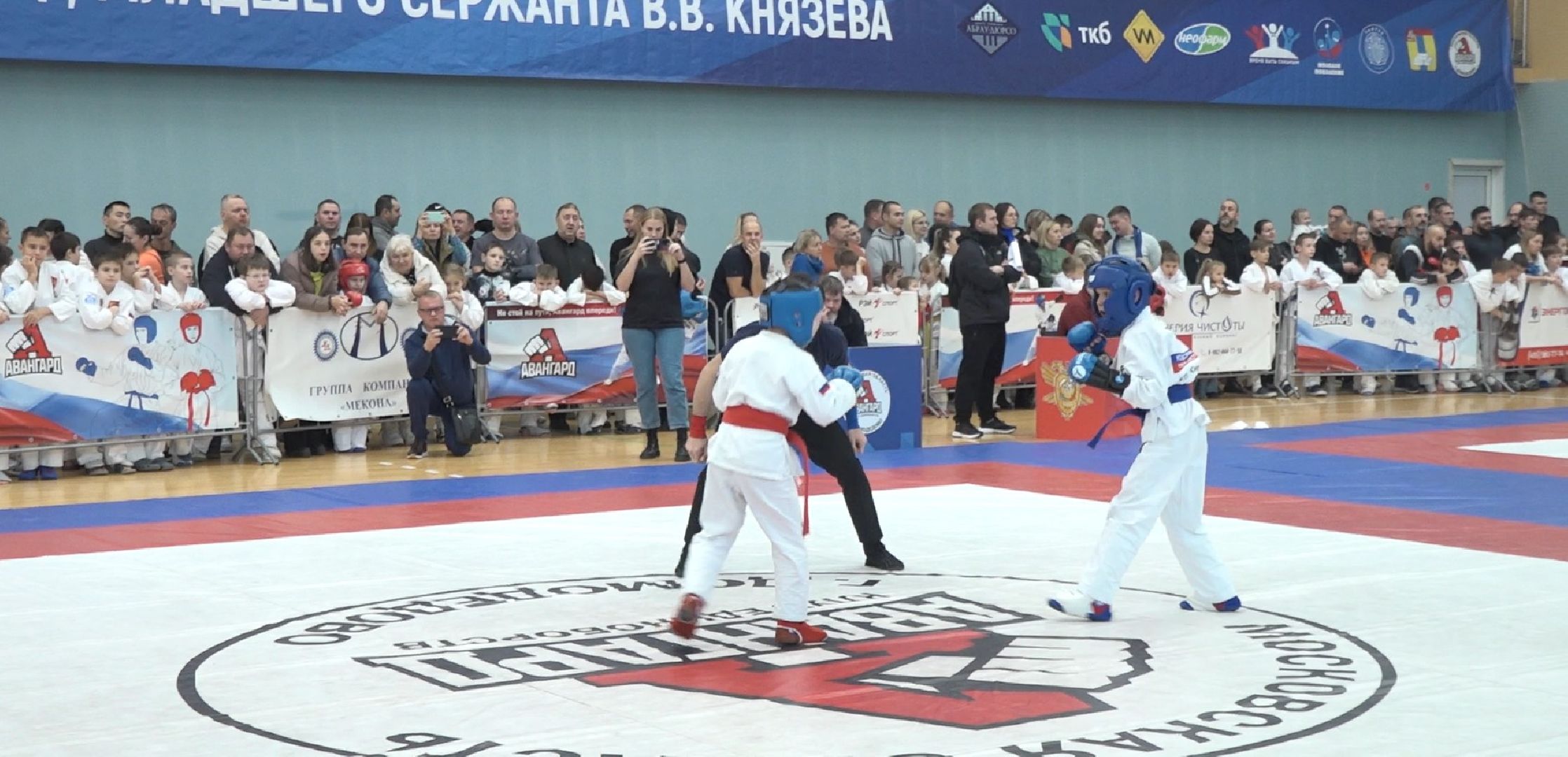 рукопашный бой, Вадим Князев, спорт, Авангард, Домодедово,