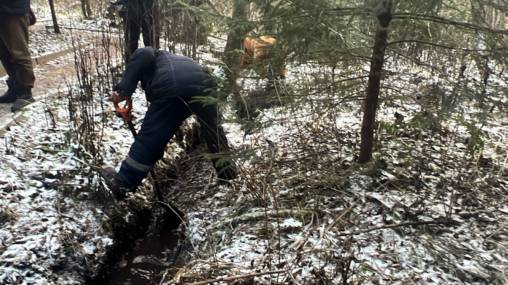 Солнечногорск, Родники, Благоустройство, Снт, Вода,
