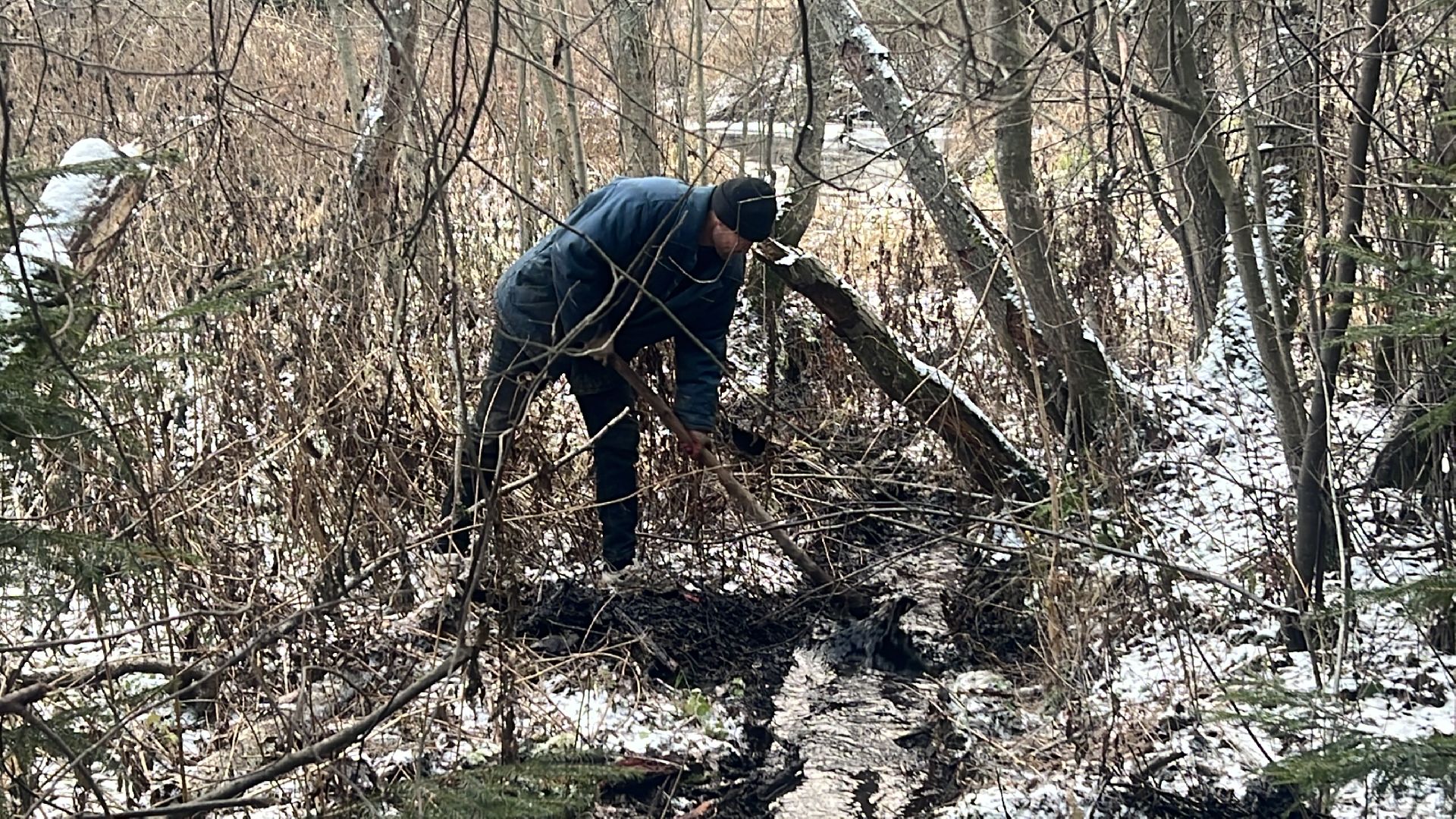 Солнечногорск, Родники, Благоустройство, Снт, Вода,