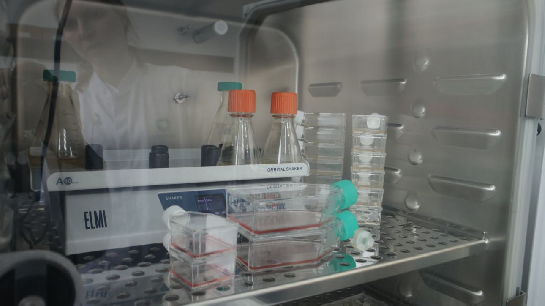 Подмосковье, медицина, вакцина, Пущино, фармацевтика, вакцинация, лекарство