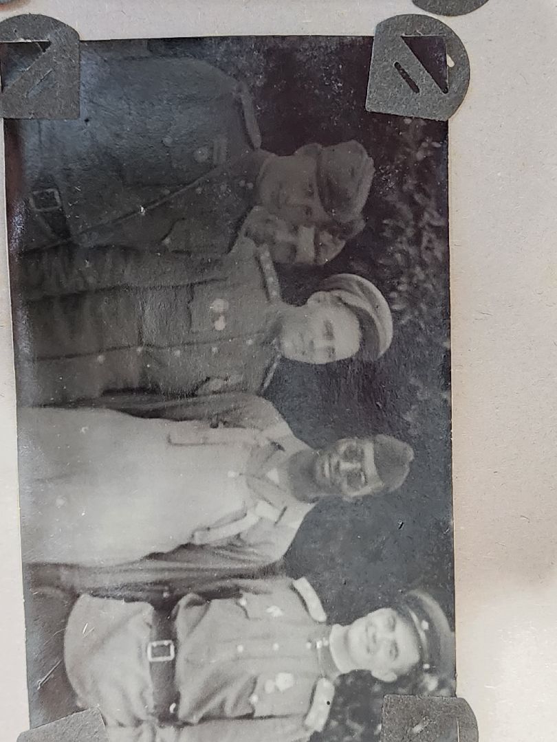 Егорьевск, Саввино, гербарий, история, ВОВ, великая отечественная война,