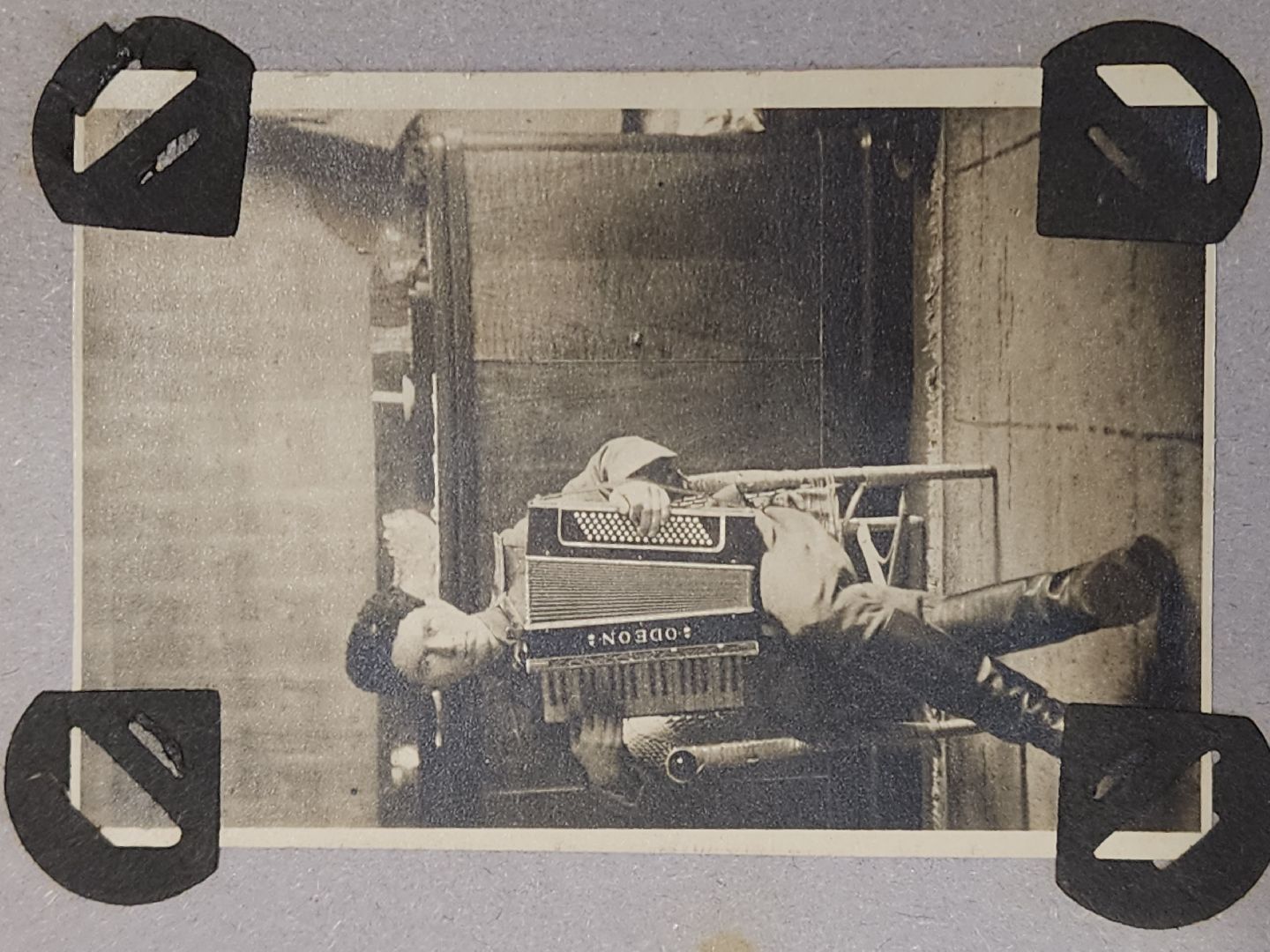 Егорьевск, Саввино, гербарий, история, ВОВ, великая отечественная война,