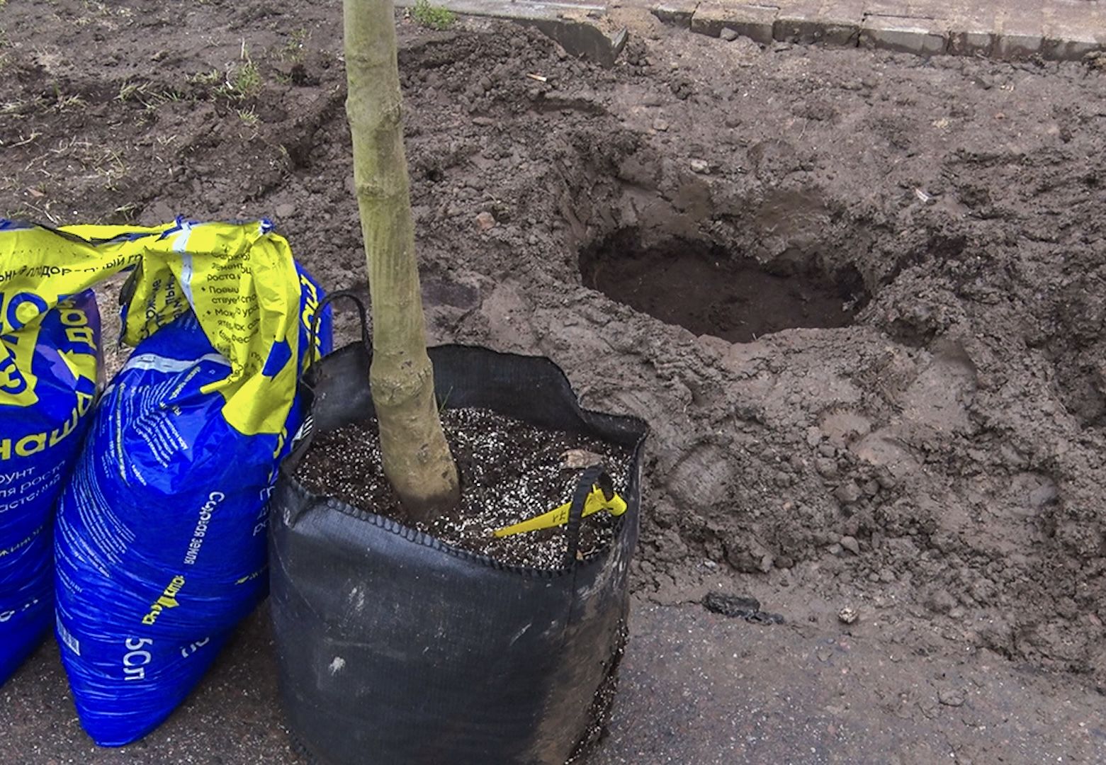 Клин, общество, благоустройство, экология, история,