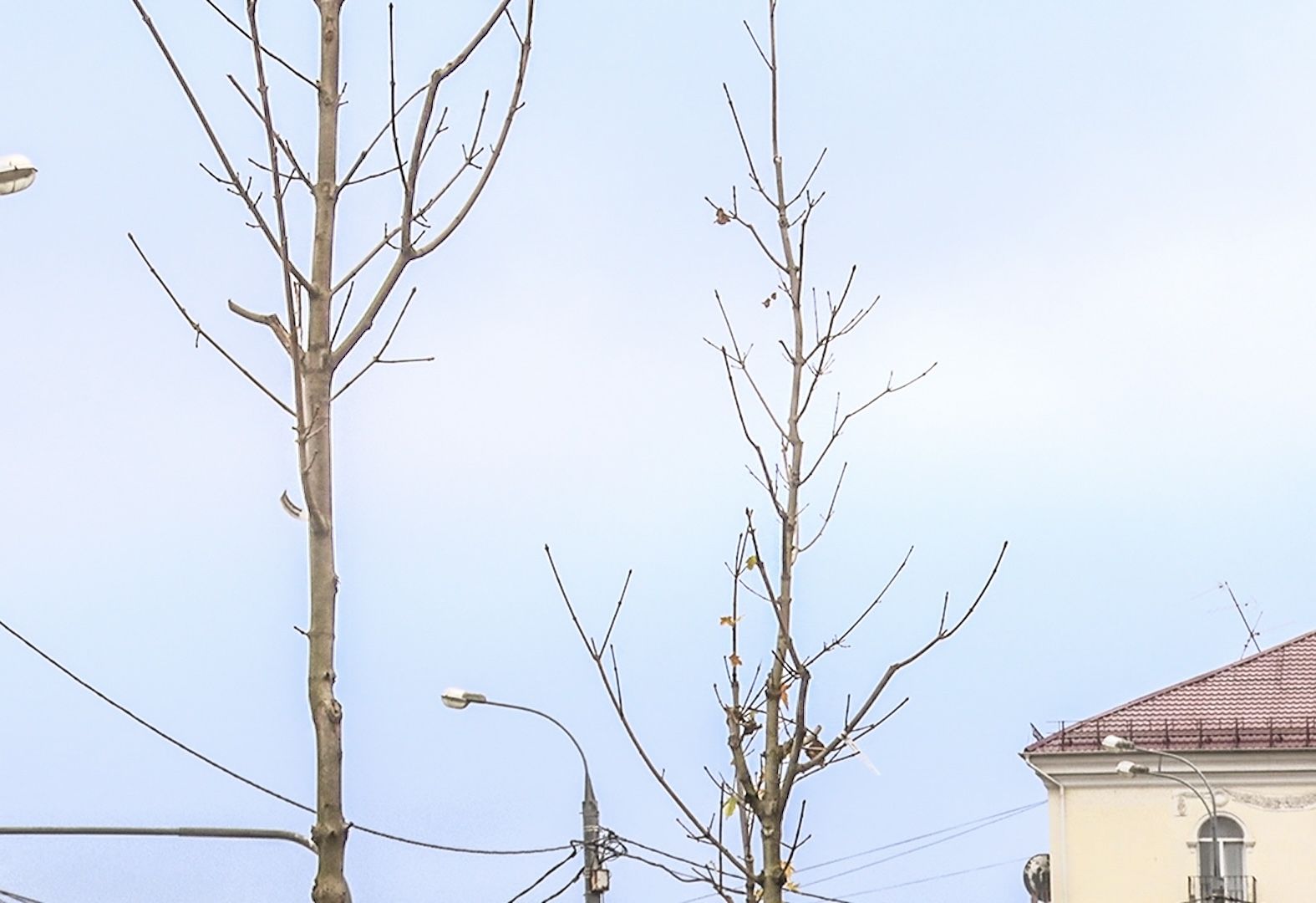 Клин, общество, благоустройство, экология, история,