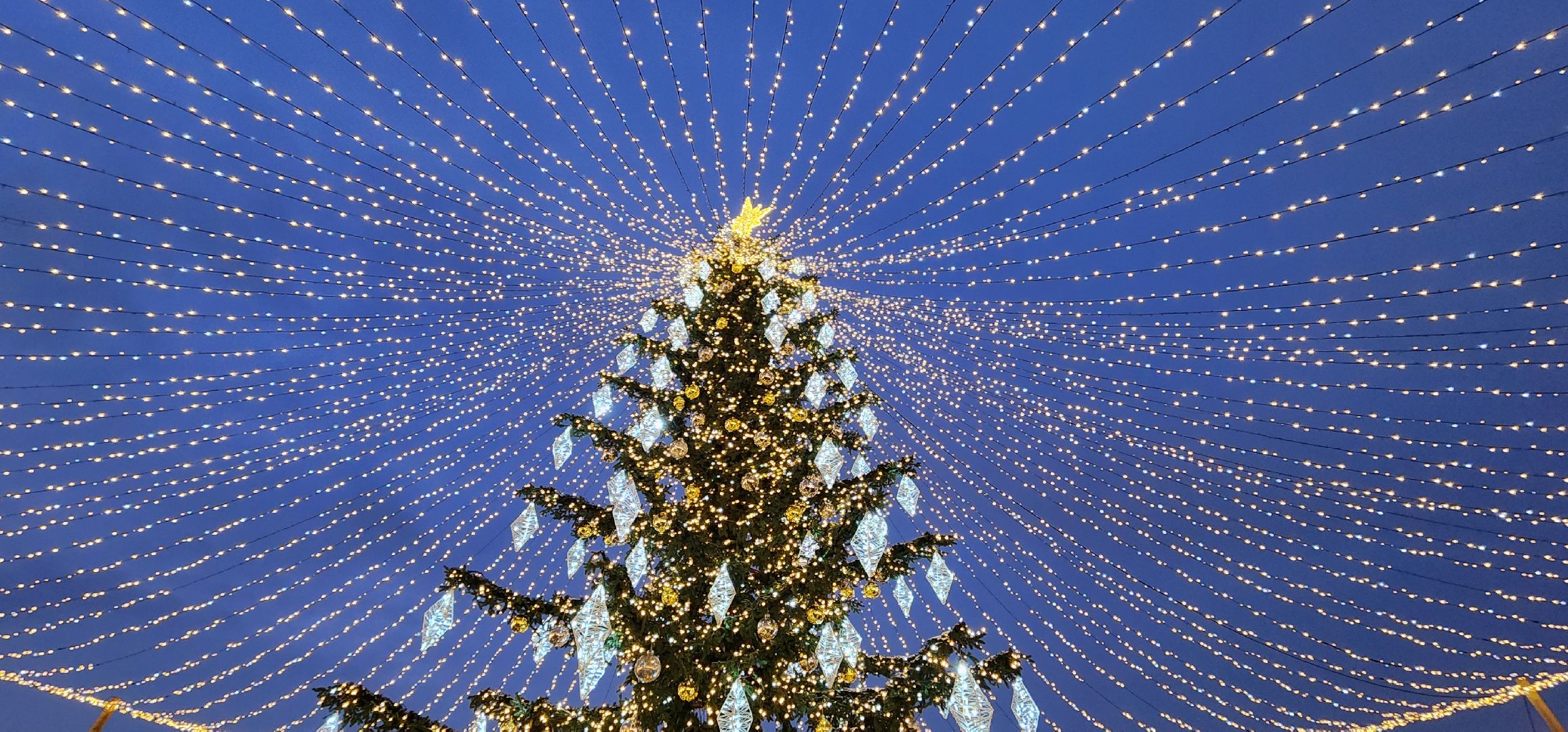 Коломна, новый год, ёлка, новогодние украшения,