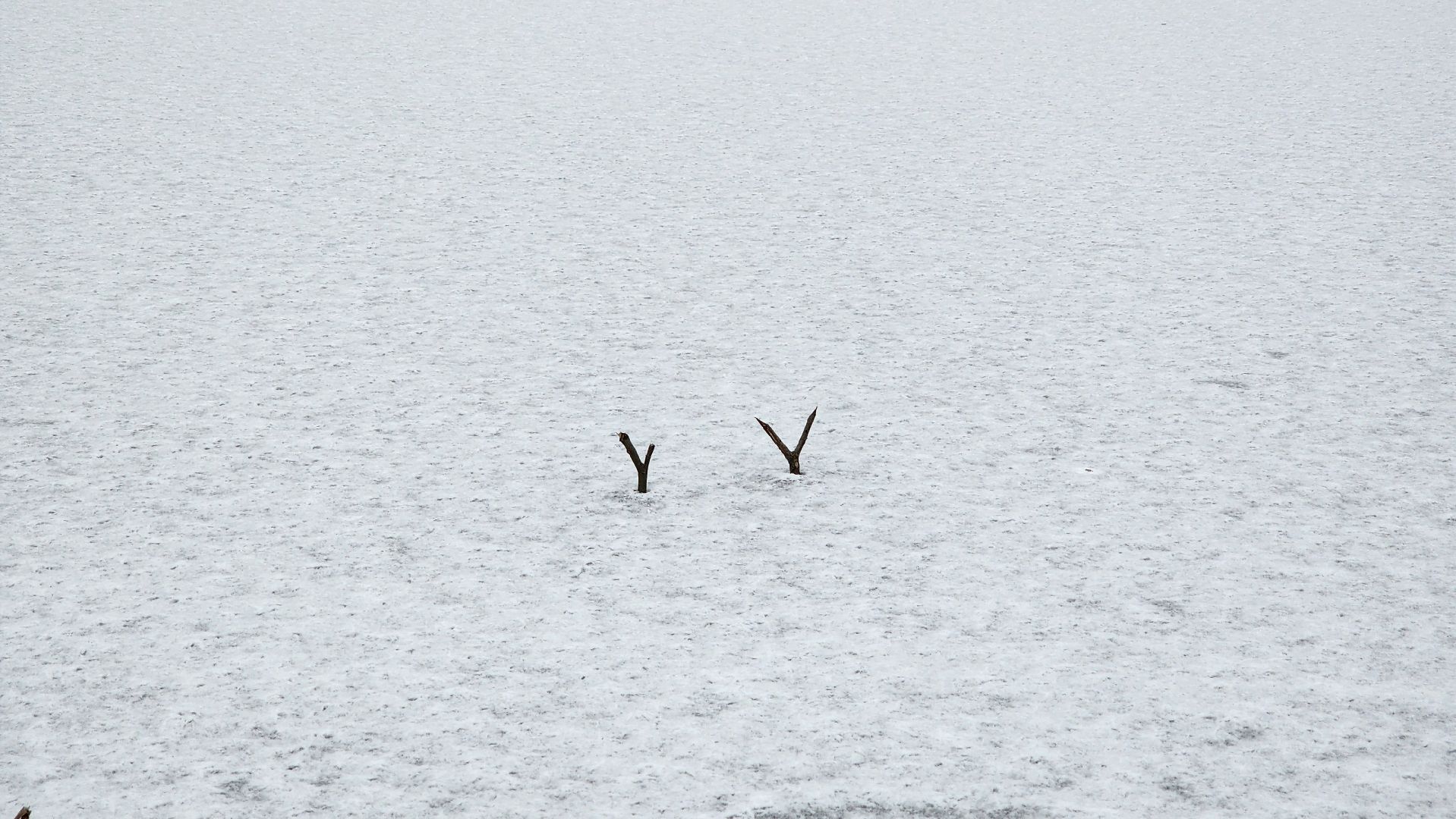 Солнечногорск, Зима, Погода, Метеоролог, Прогноз,