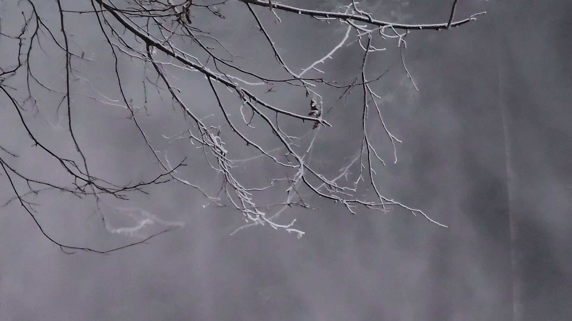 Одинцово, парк, парк имени Лазутиной, зима, трасса, оснежение, спорт,