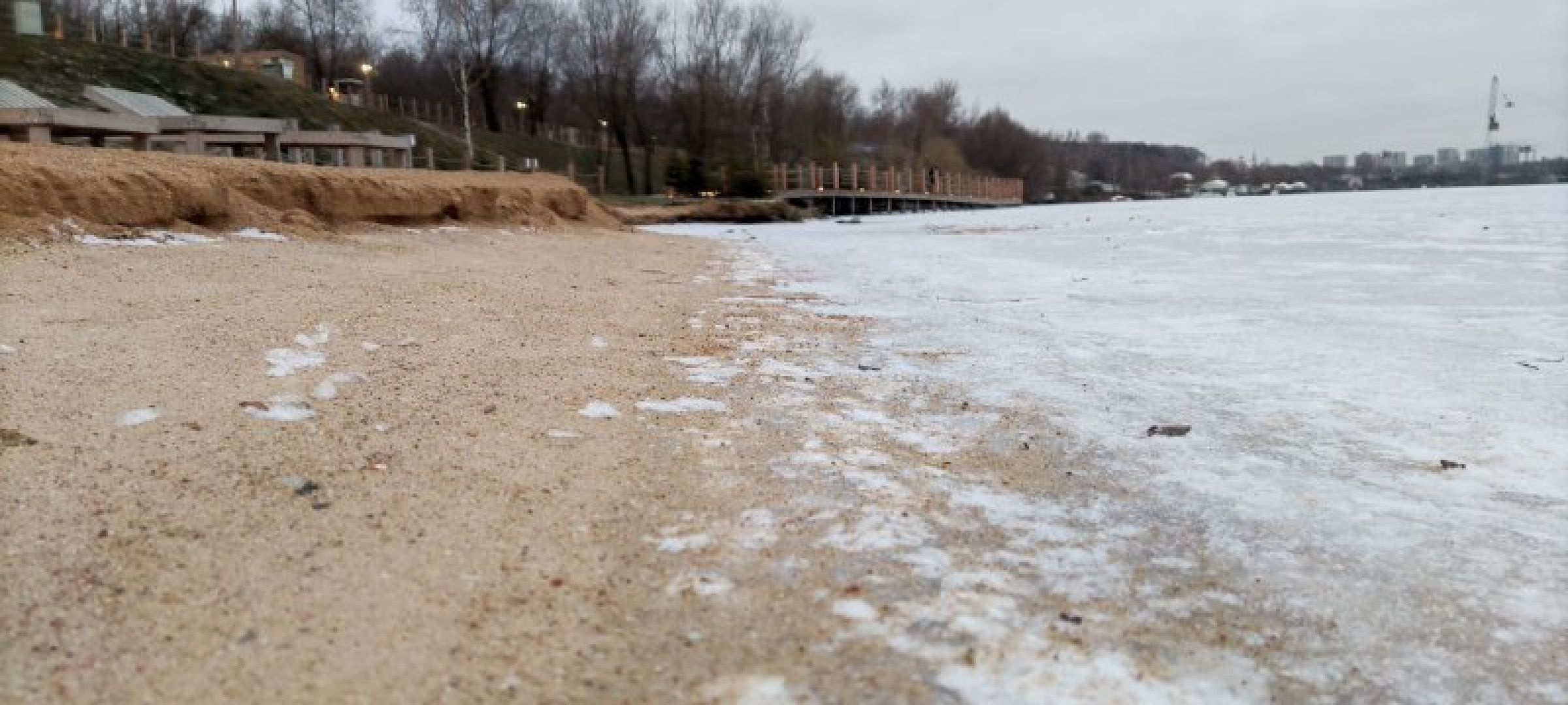 мчс, красногорск, собака, спасатели,