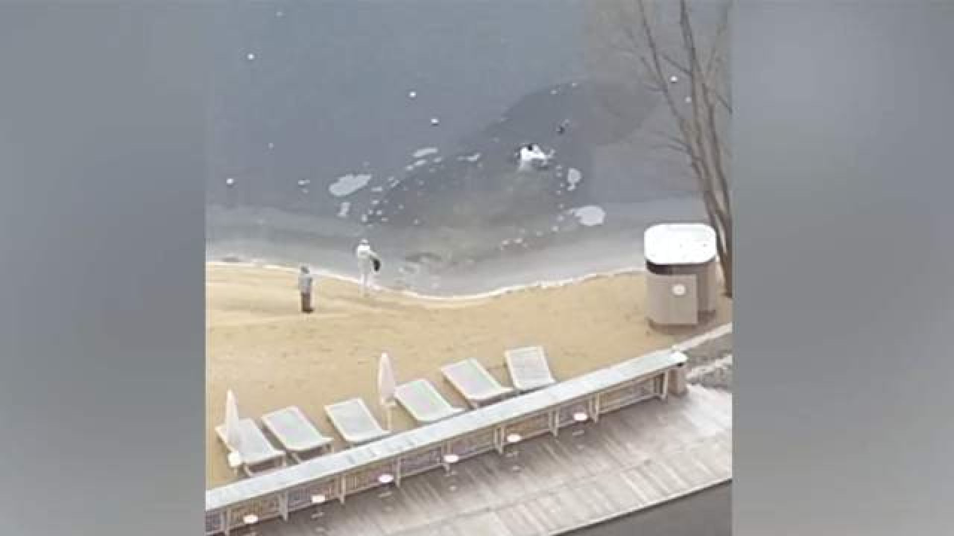 мчс, красногорск, собака, спасатели,