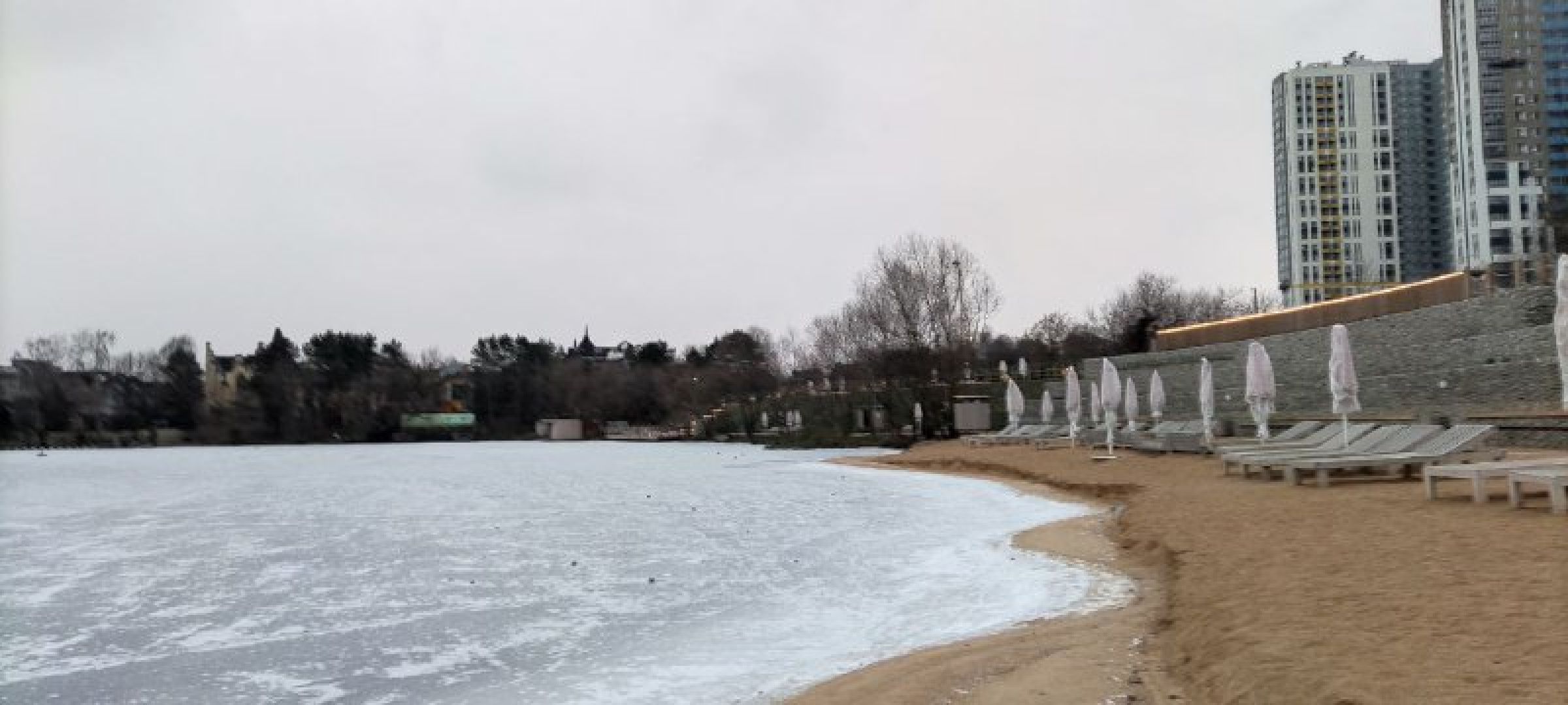 мчс, красногорск, собака, спасатели,