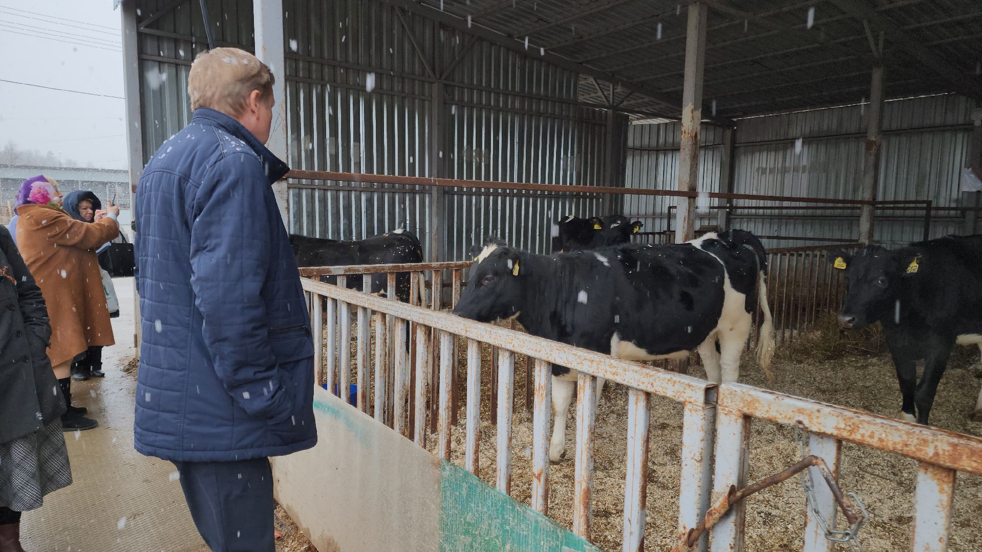 Подольск, наука, ВИЖ им Эрнста, породы, генетика,