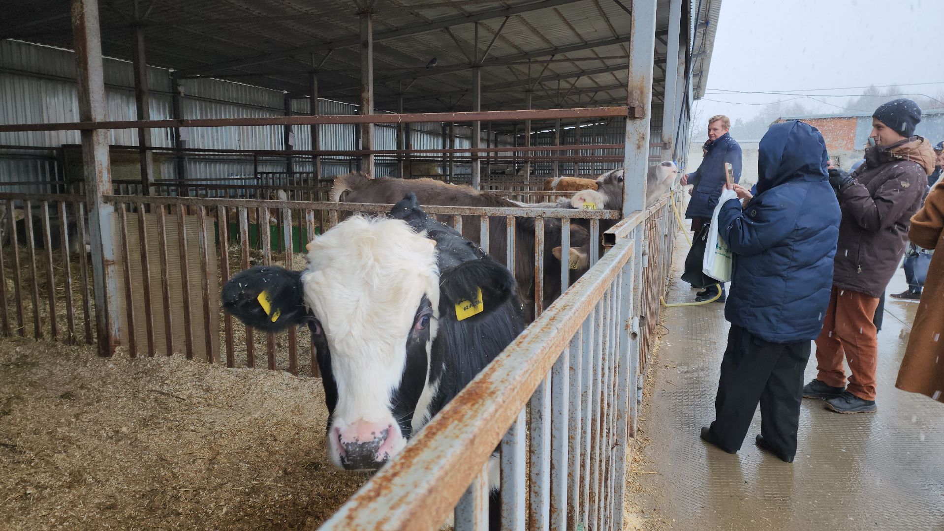 Подольск, наука, ВИЖ им Эрнста, породы, генетика,