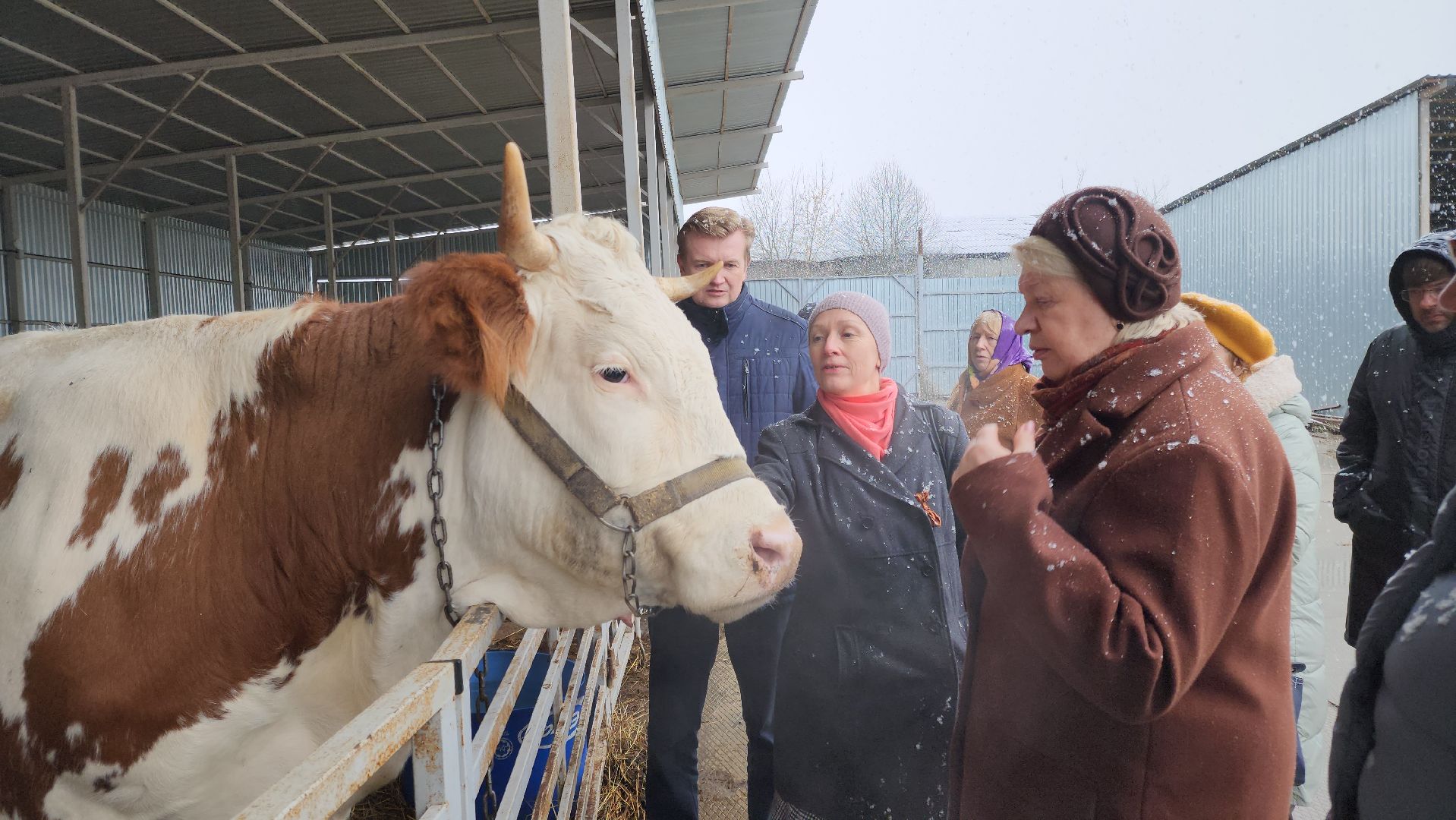 Подольск, наука, ВИЖ им Эрнста, породы, генетика,
