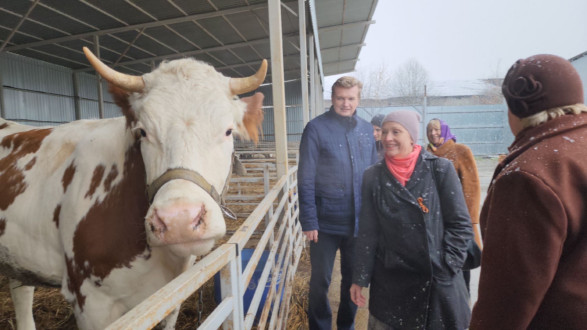 Подольск, наука, ВИЖ им Эрнста, породы, генетика,