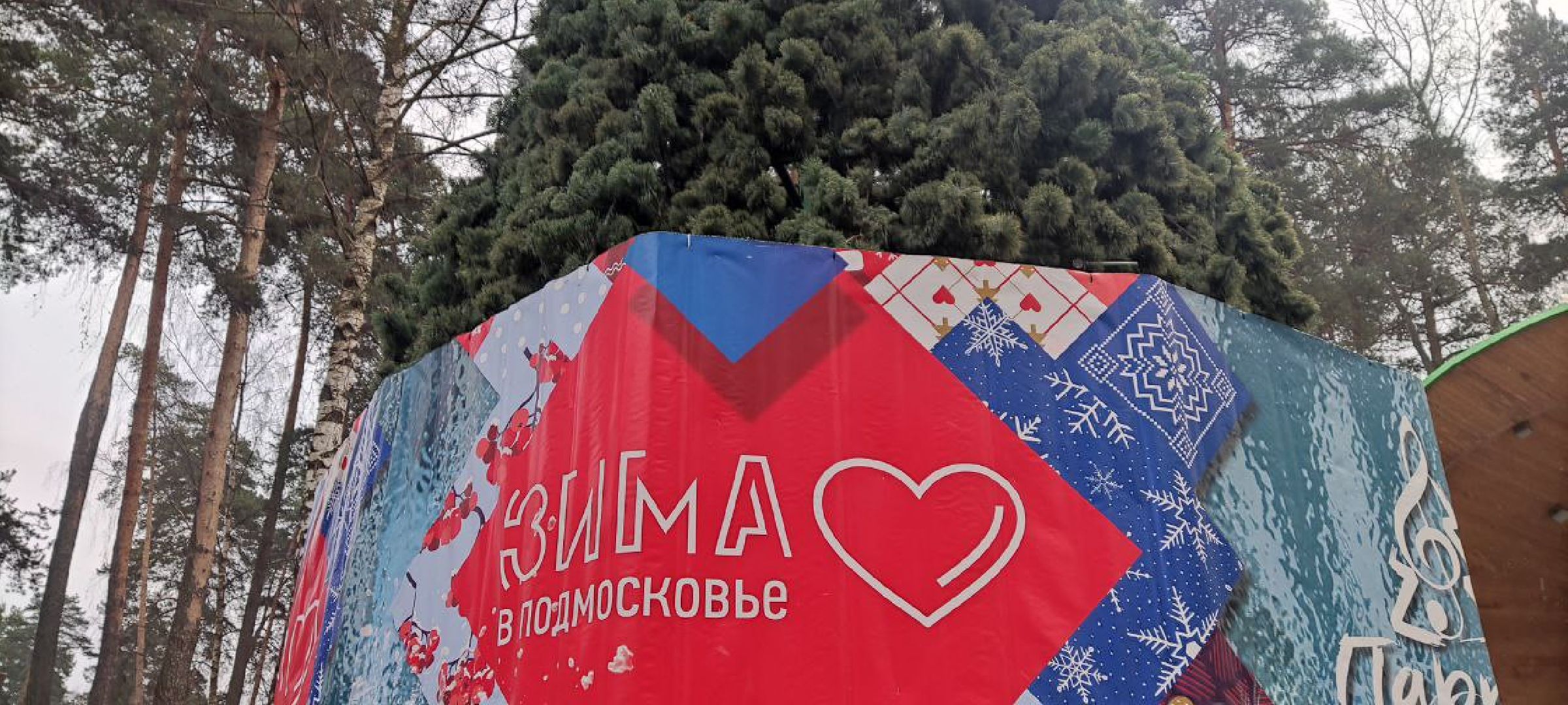 красногорск, ёлка, праздники, новый год,