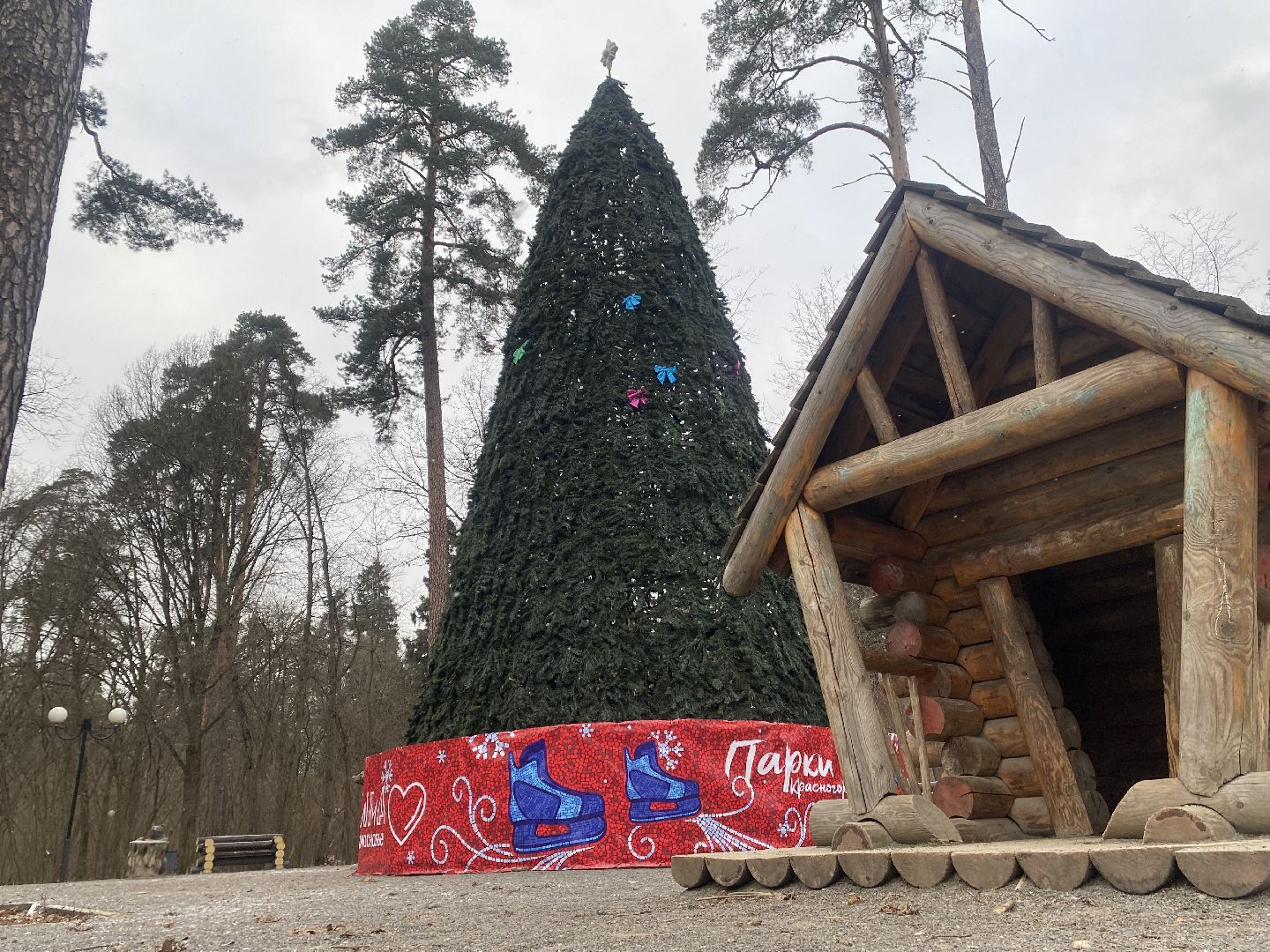 красногорск, ёлка, праздники, новый год,