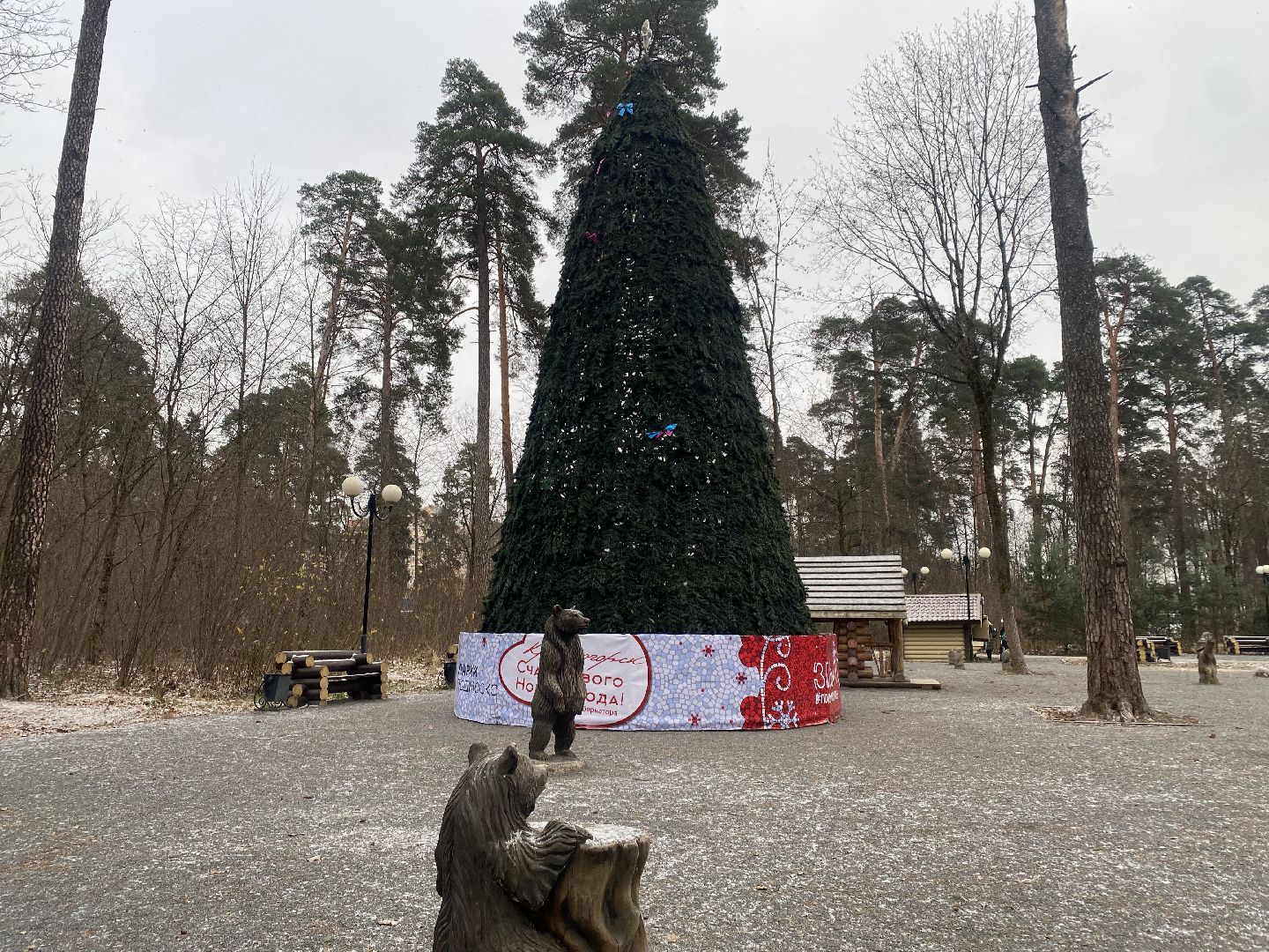 красногорск, ёлка, праздники, новый год,