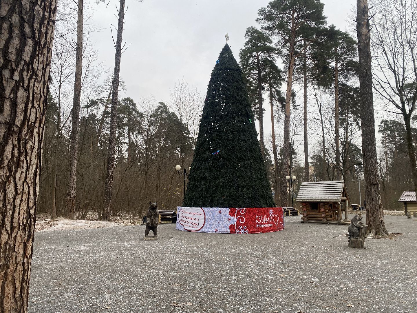 красногорск, ёлка, праздники, новый год,