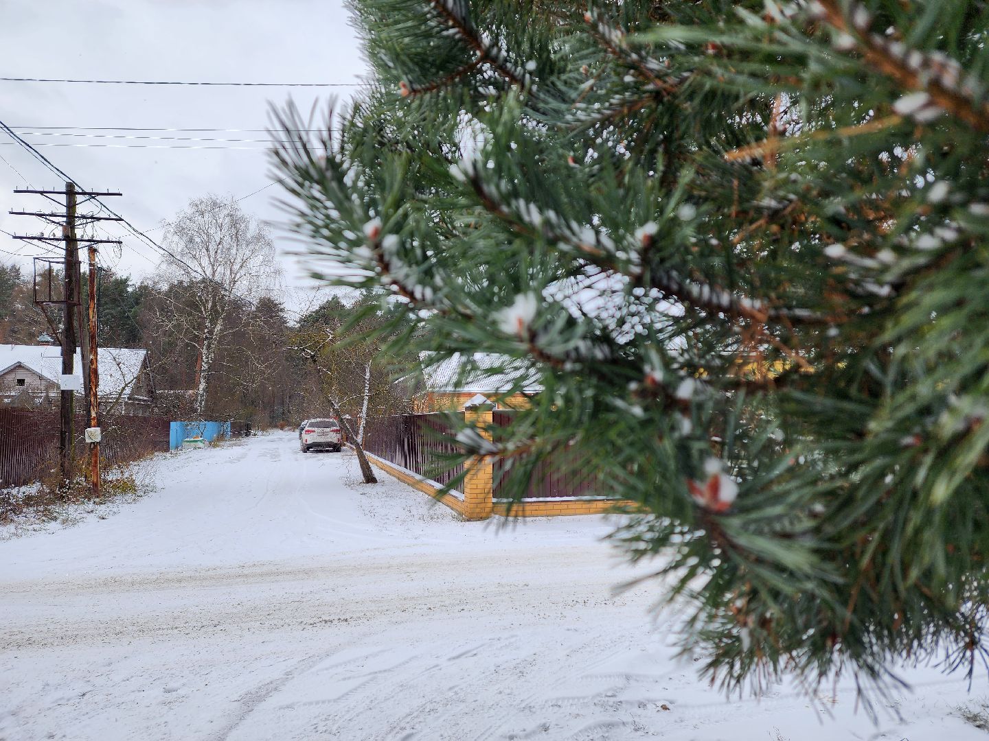 воскресенск, общество, книга, писатели, творчество,