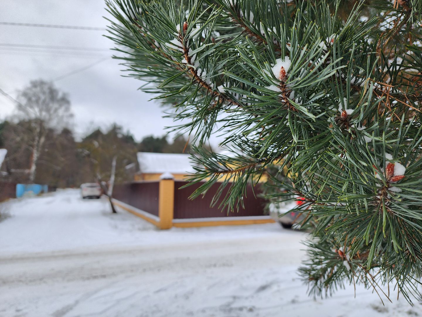 воскресенск, общество, книга, писатели, творчество,
