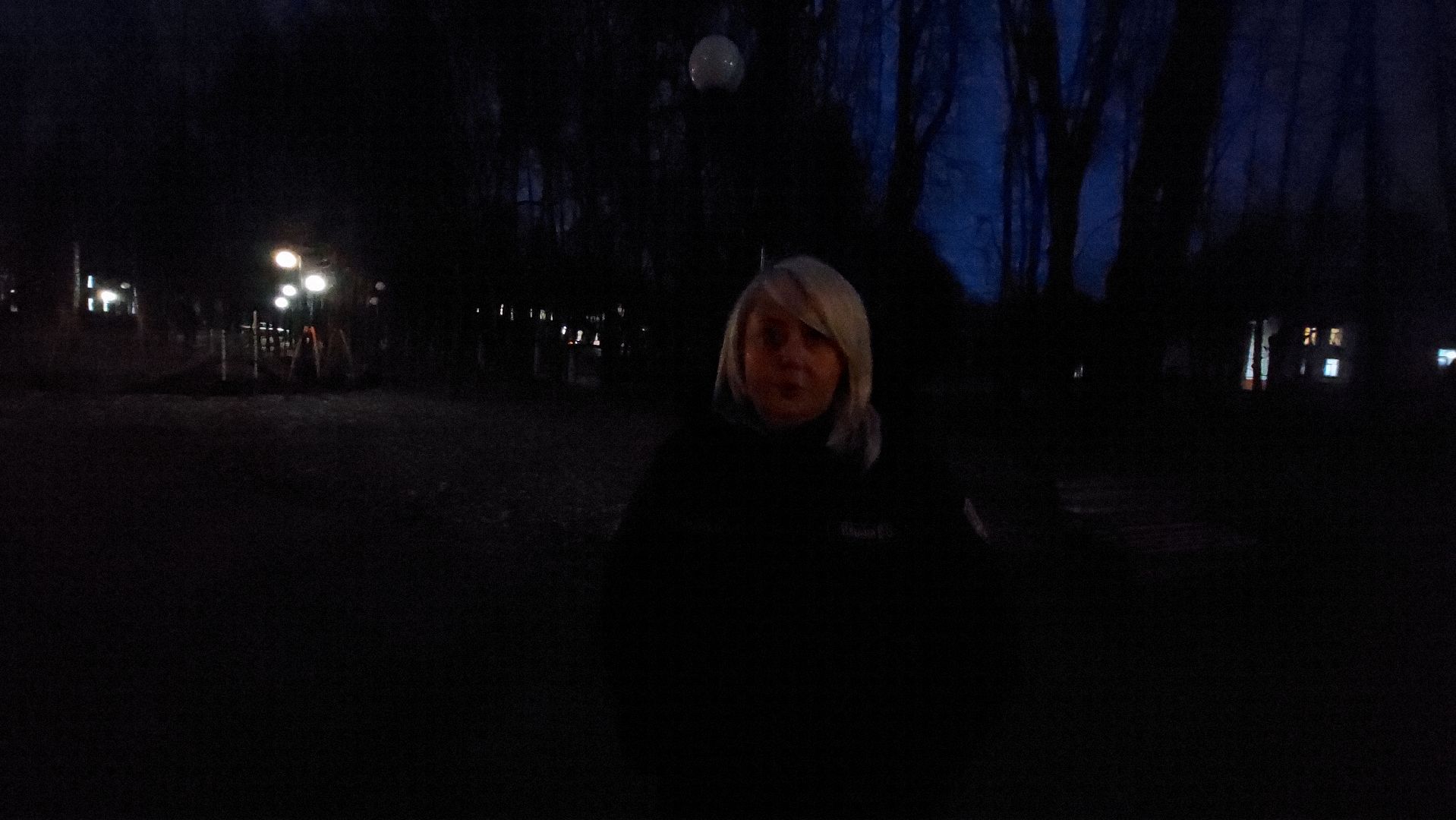 фонари, благоустойство, уличное освещение, Мониторинг освещения, густ, город чехов,