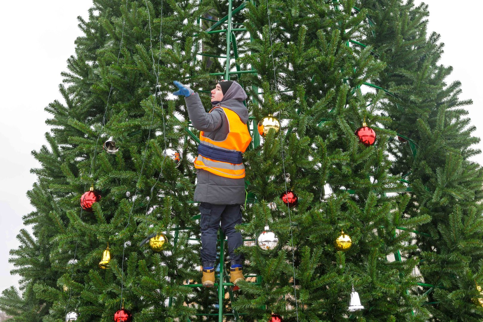 люберцы, Новогодняя елка, Наташинский парк,