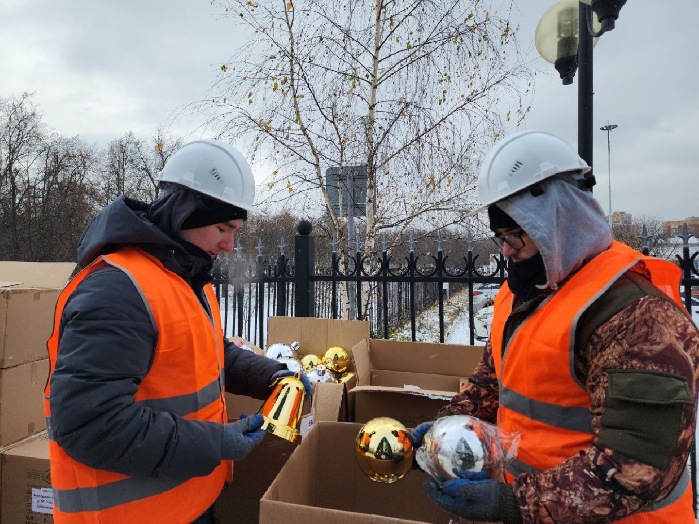 люберцы, Новогодняя елка, Наташинский парк,
