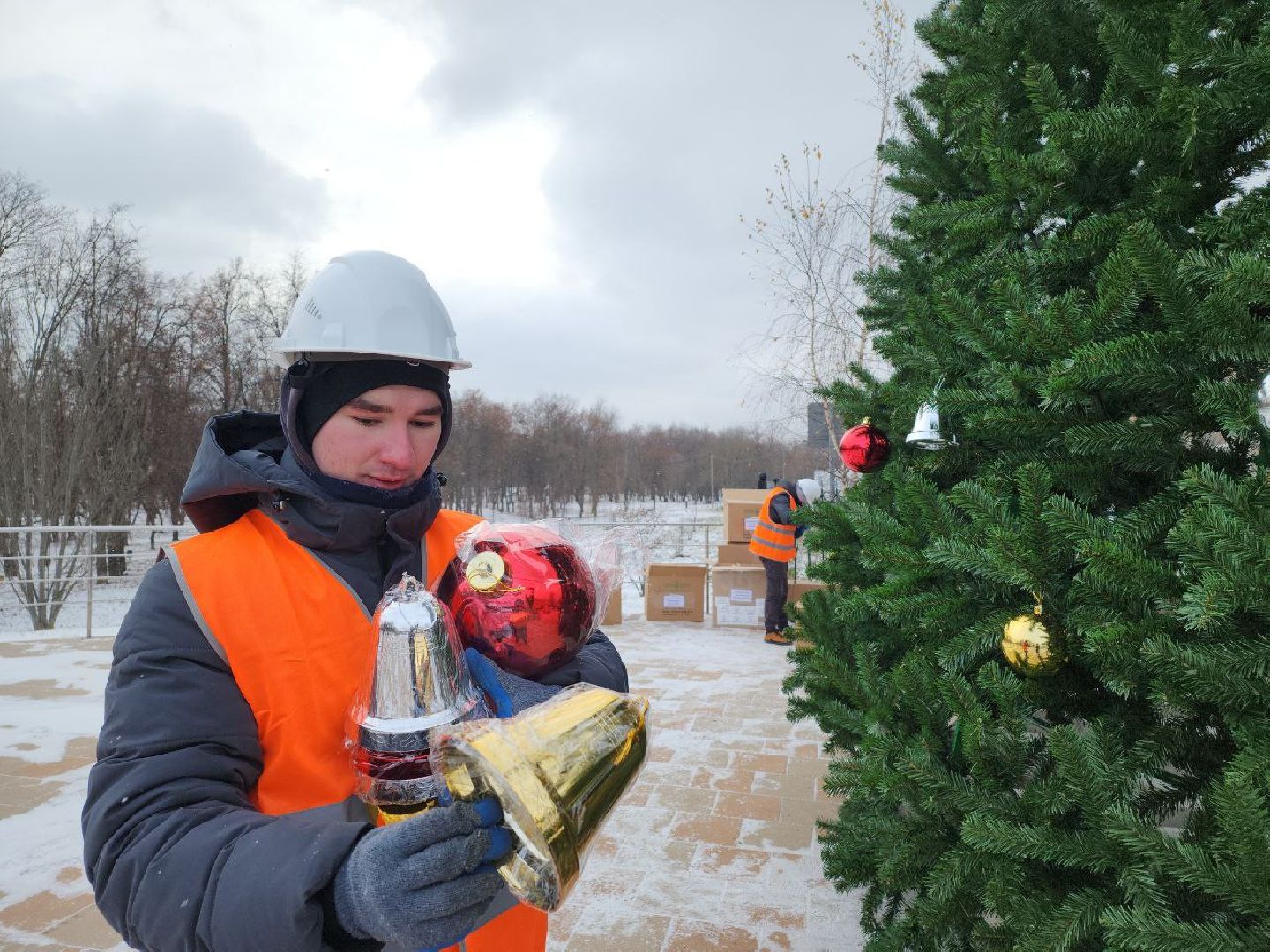 люберцы, Новогодняя елка, Наташинский парк,