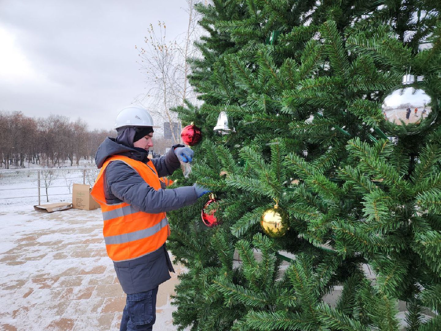 люберцы, Новогодняя елка, Наташинский парк,