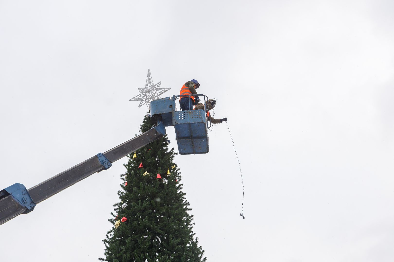 люберцы, Новогодняя елка, Наташинский парк,