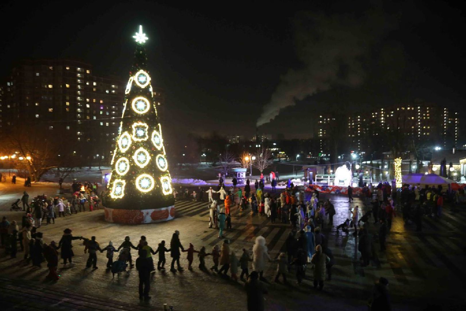 люберцы, Новогодняя елка, Наташинский парк,